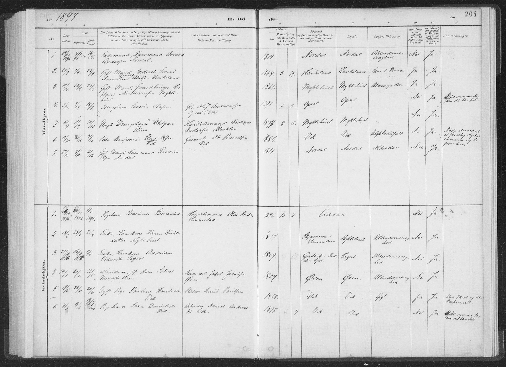 Ministerialprotokoller, klokkerbøker og fødselsregistre - Møre og Romsdal, AV/SAT-A-1454/502/L0025: Parish register (official) no. 502A03, 1885-1909, p. 204
