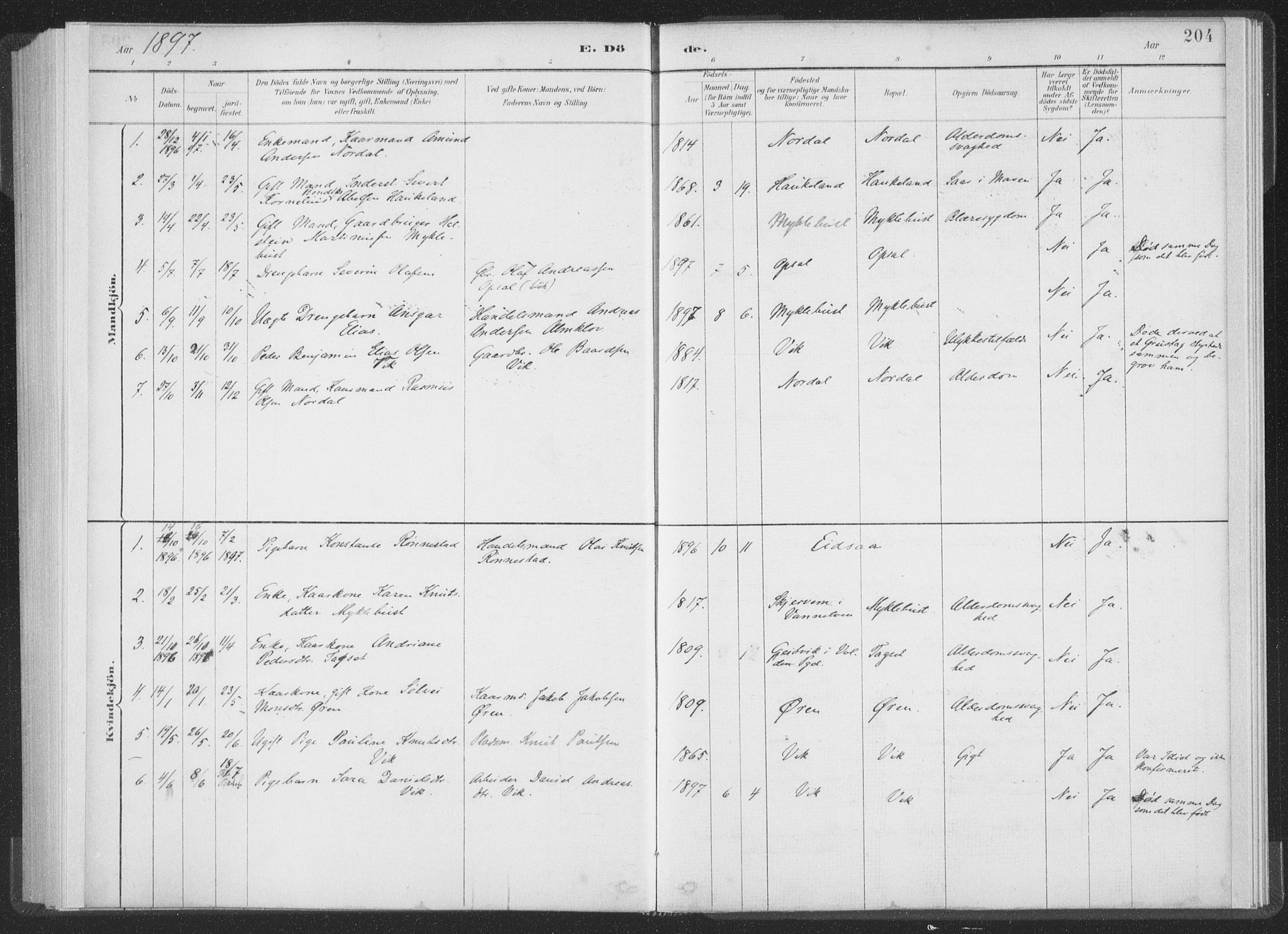 Ministerialprotokoller, klokkerbøker og fødselsregistre - Møre og Romsdal, AV/SAT-A-1454/502/L0025: Parish register (official) no. 502A03, 1885-1909, p. 204