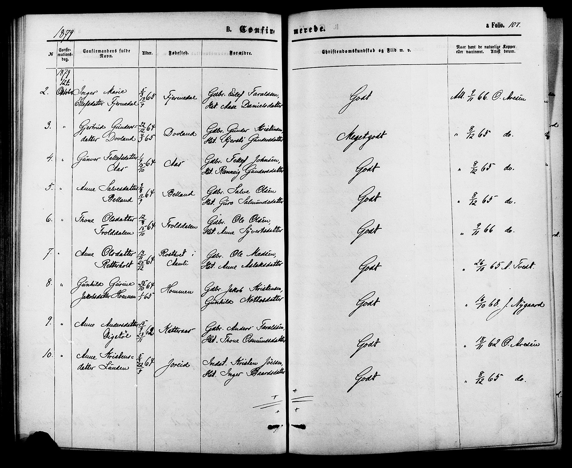 Herefoss sokneprestkontor, SAK/1111-0019/F/Fa/Fab/L0003: Parish register (official) no. A 3, 1875-1886, p. 107