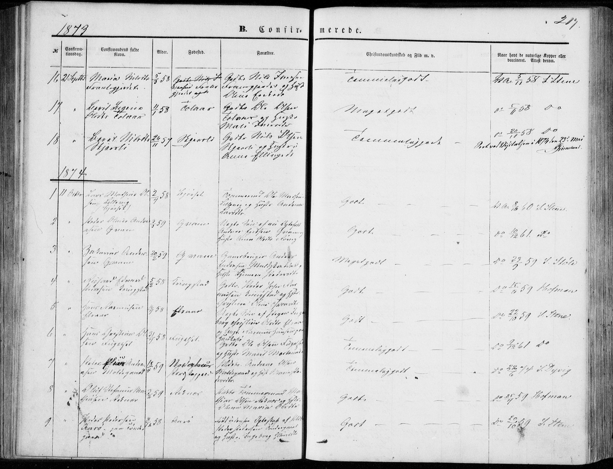 Ministerialprotokoller, klokkerbøker og fødselsregistre - Møre og Romsdal, SAT/A-1454/555/L0655: Parish register (official) no. 555A05, 1869-1886, p. 217