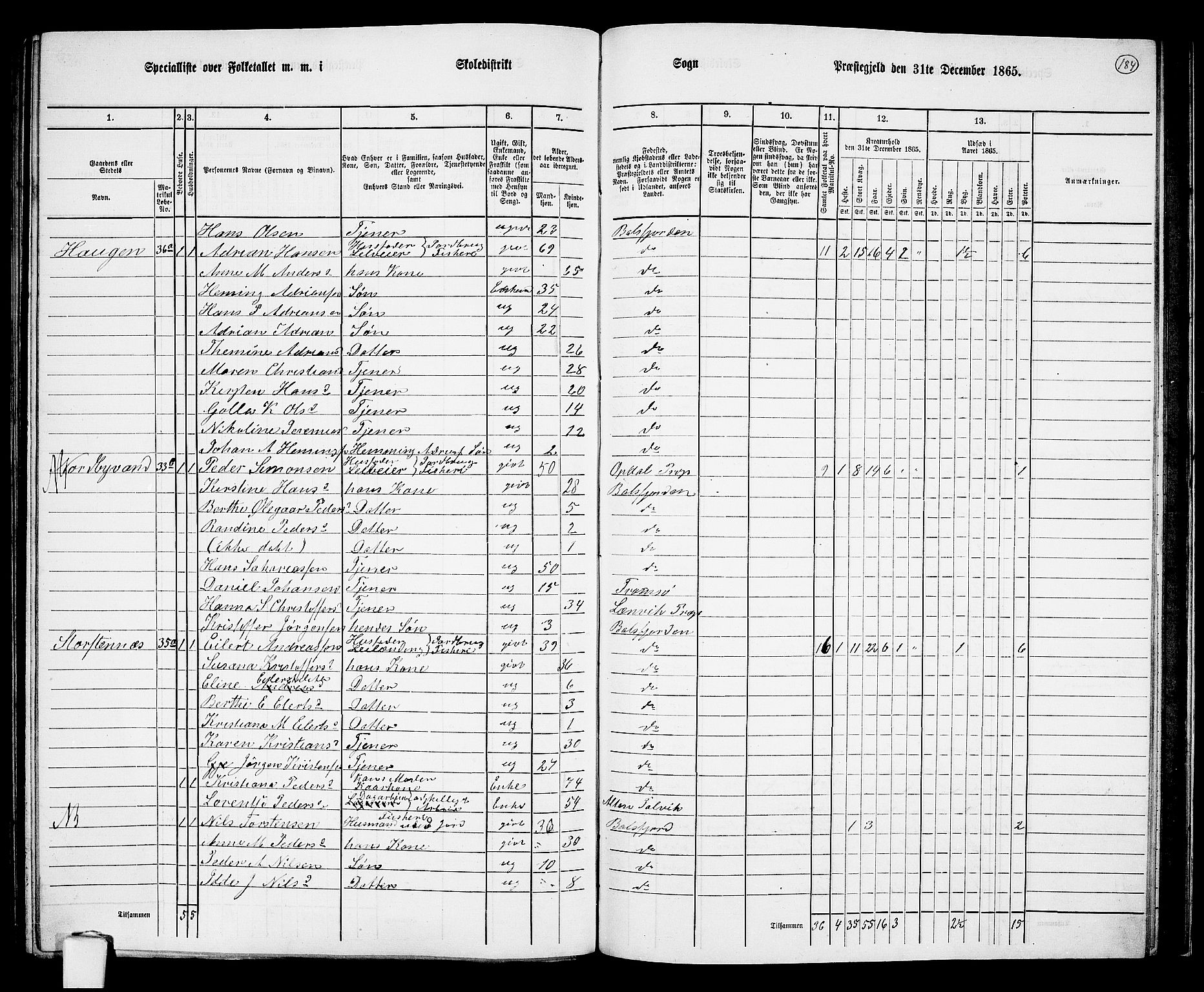 RA, 1865 census for Balsfjord, 1865, p. 117