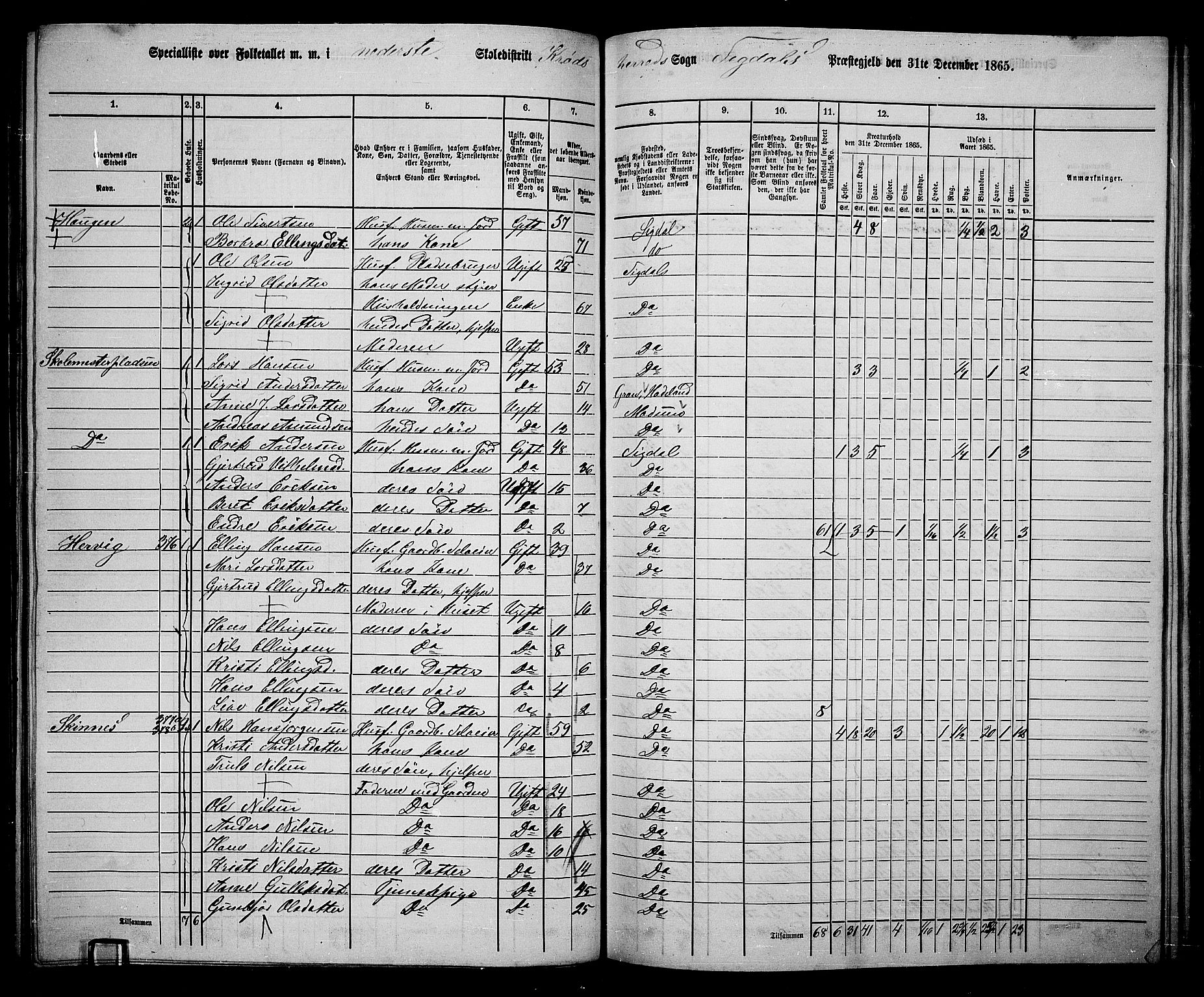 RA, 1865 census for Sigdal, 1865, p. 206