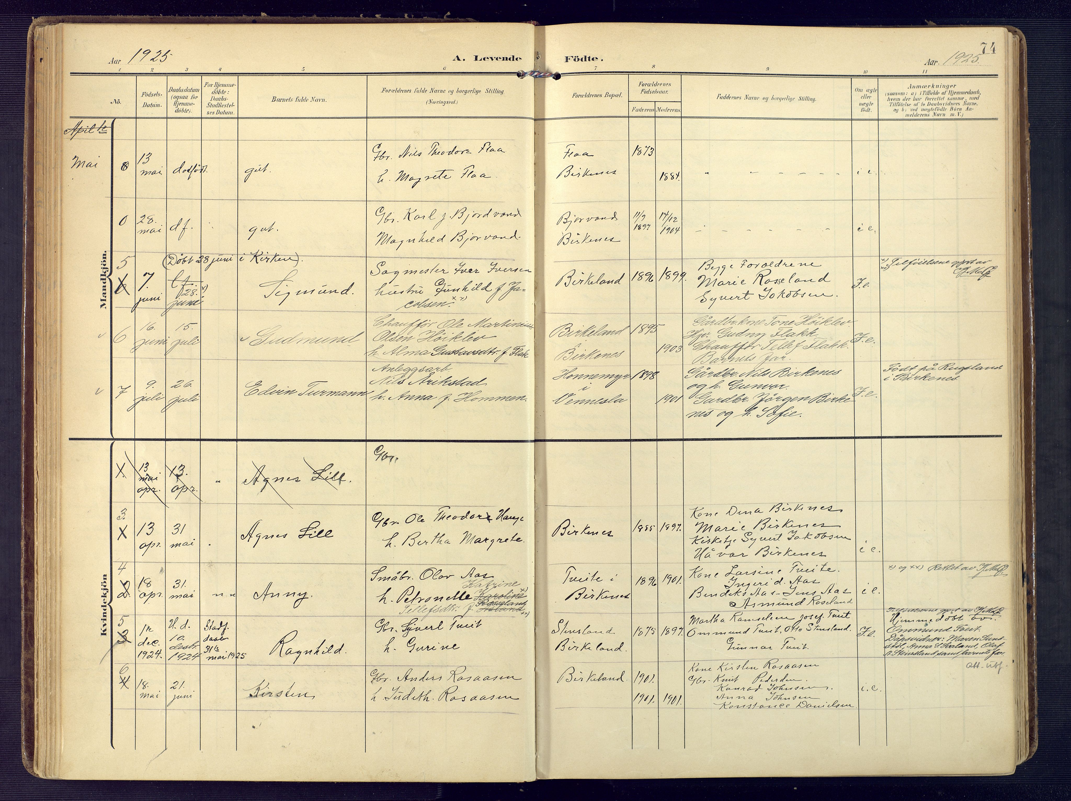 Birkenes sokneprestkontor, AV/SAK-1111-0004/F/Fa/L0006: Parish register (official) no. A 6, 1908-1932, p. 74