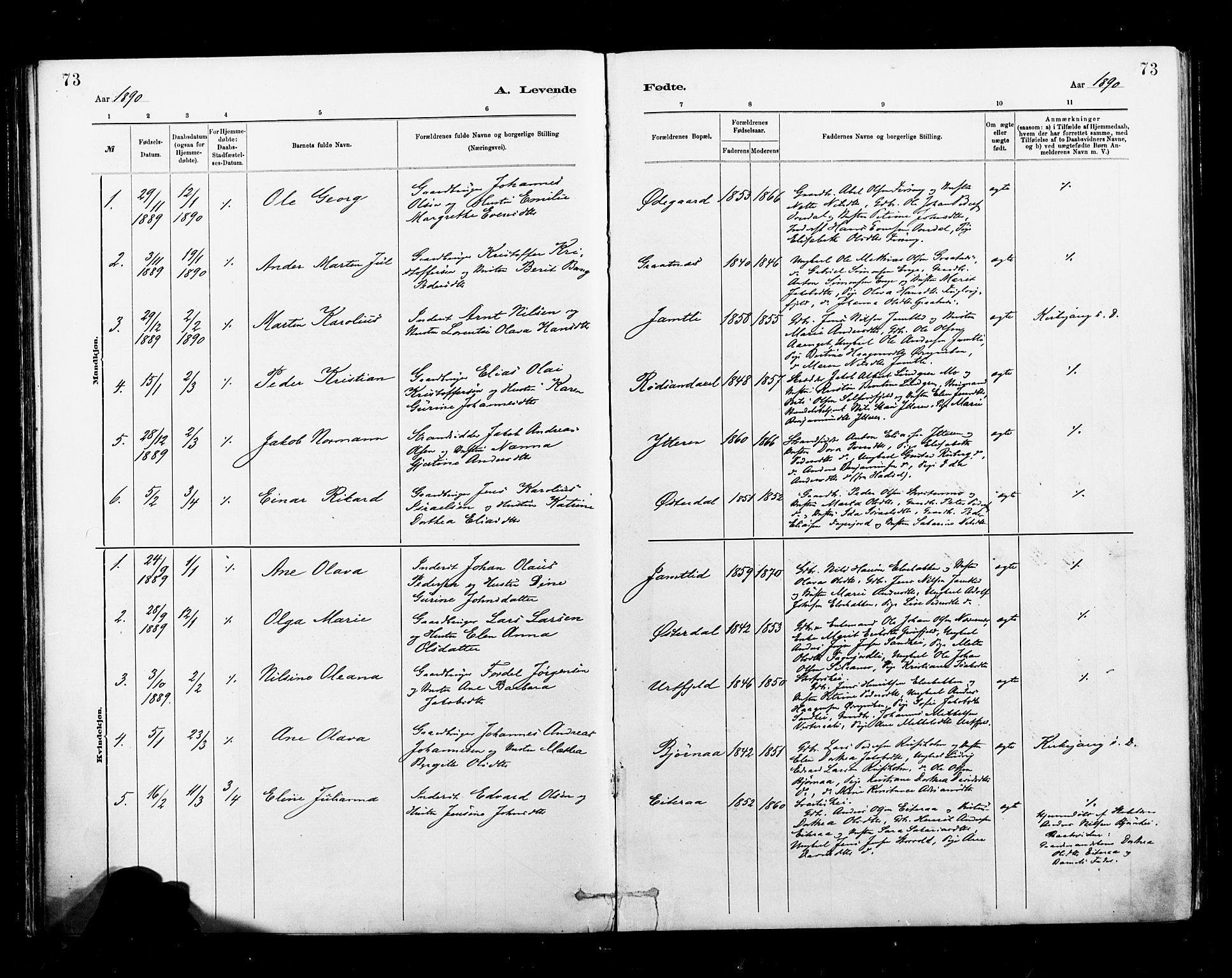 Ministerialprotokoller, klokkerbøker og fødselsregistre - Nordland, SAT/A-1459/827/L0400: Parish register (official) no. 827A12, 1883-1903, p. 73
