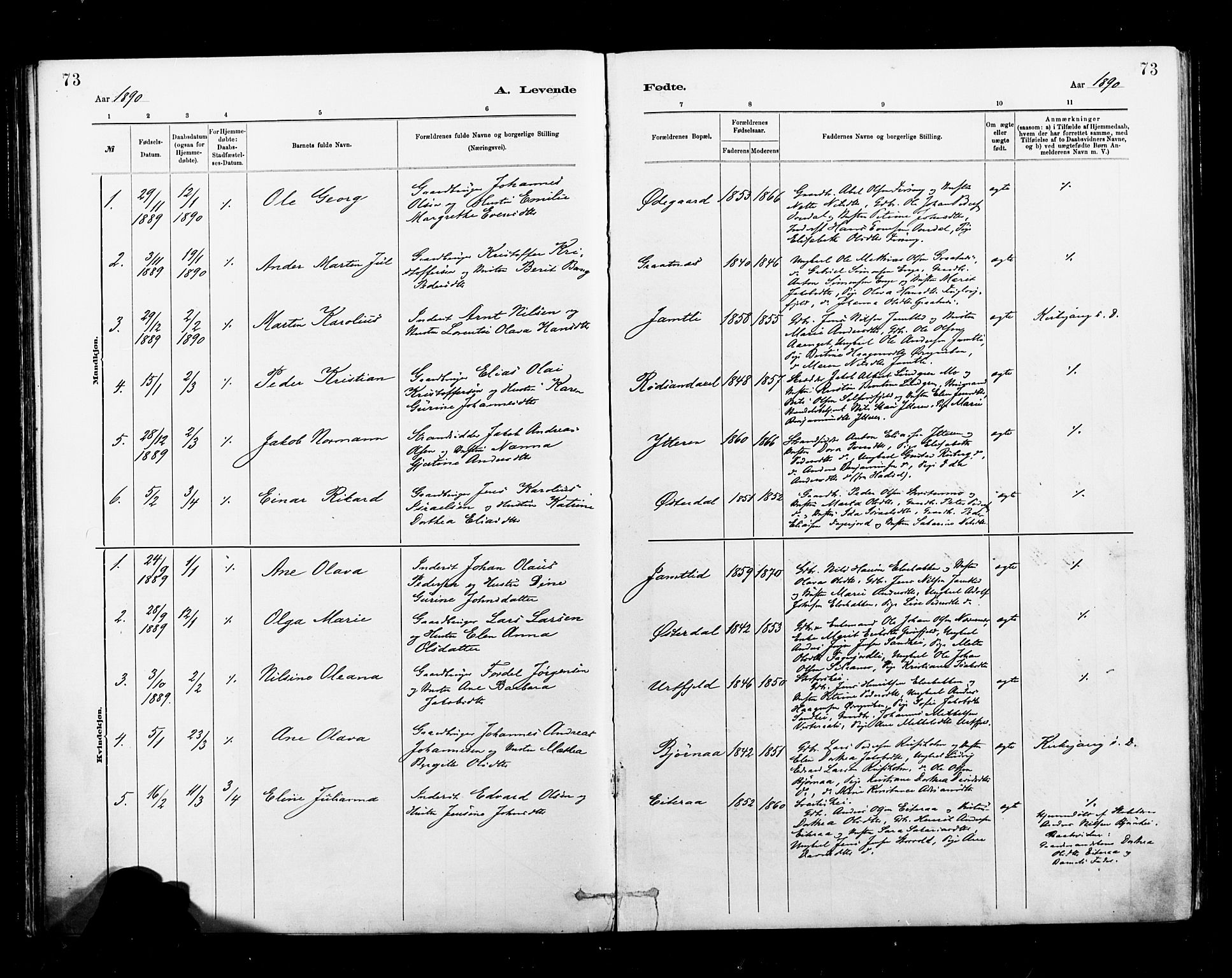 Ministerialprotokoller, klokkerbøker og fødselsregistre - Nordland, AV/SAT-A-1459/827/L0400: Parish register (official) no. 827A12, 1883-1903, p. 73