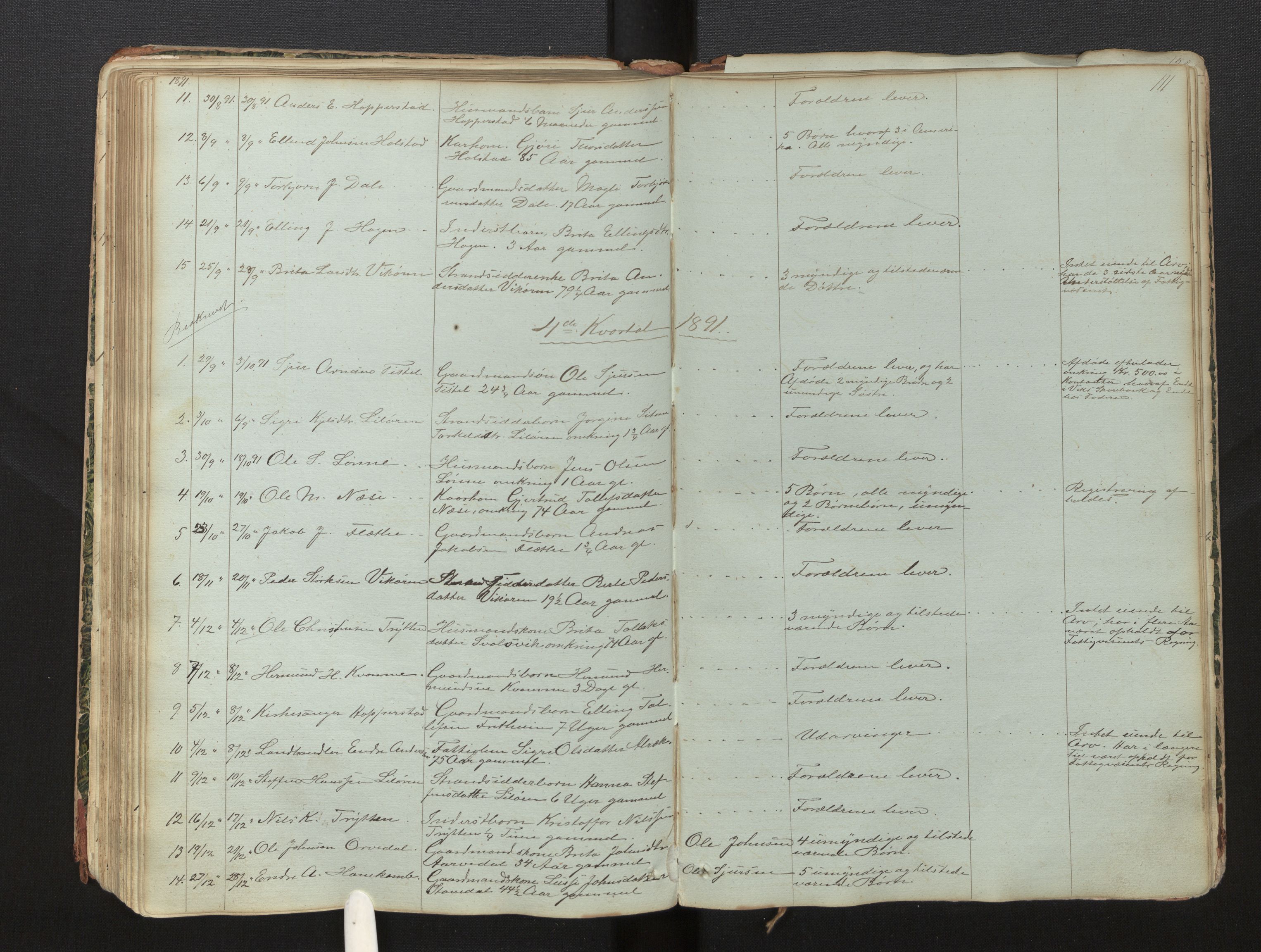 Lensmannen i Vik, AV/SAB-A-30301/0006/L0013: Dødsfallprotokoll, 1849-1902, p. 111