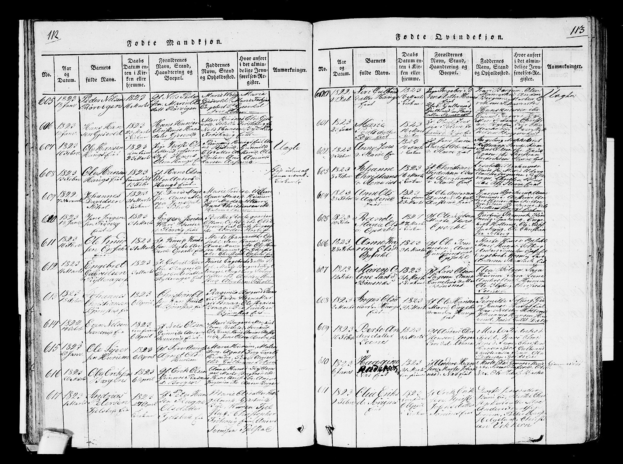 Hole kirkebøker, SAKO/A-228/F/Fa/L0004: Parish register (official) no. I 4, 1814-1833, p. 112-113