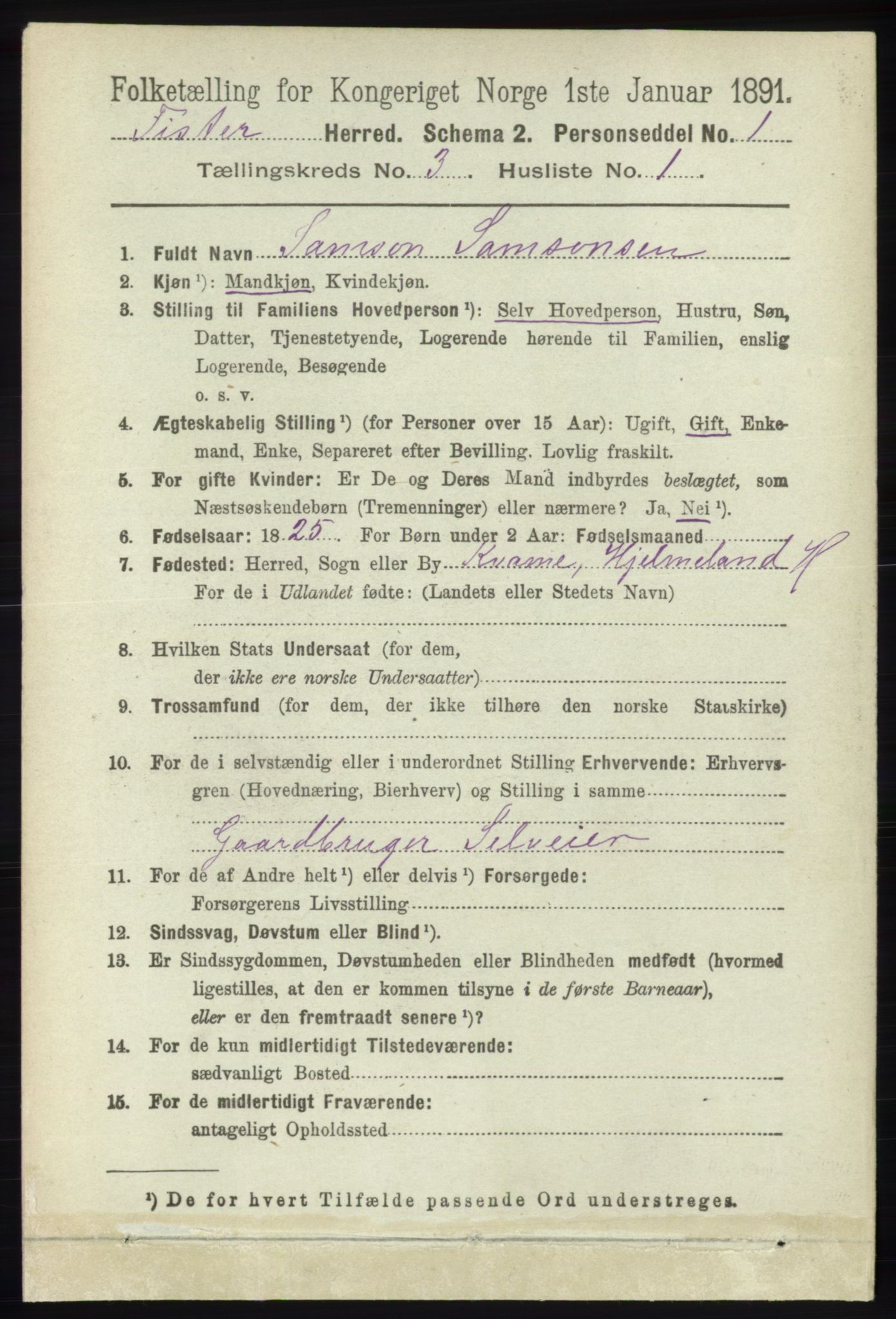 RA, 1891 census for 1132 Fister, 1891, p. 523