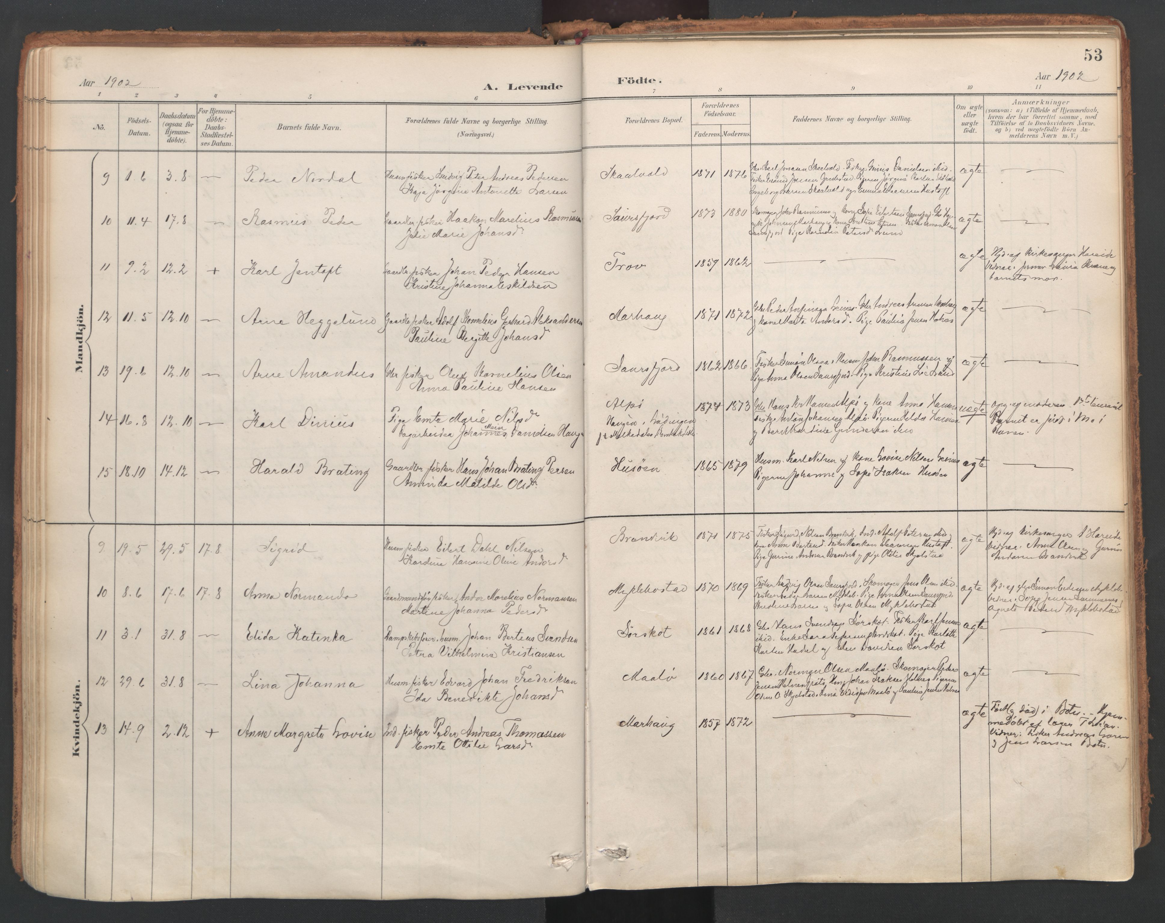 Ministerialprotokoller, klokkerbøker og fødselsregistre - Nordland, AV/SAT-A-1459/857/L0822: Parish register (official) no. 857A02, 1890-1917, p. 53