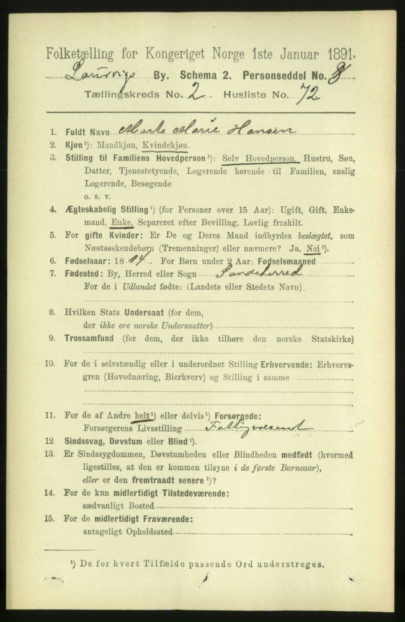 RA, 1891 census for 0707 Larvik, 1891, p. 4113