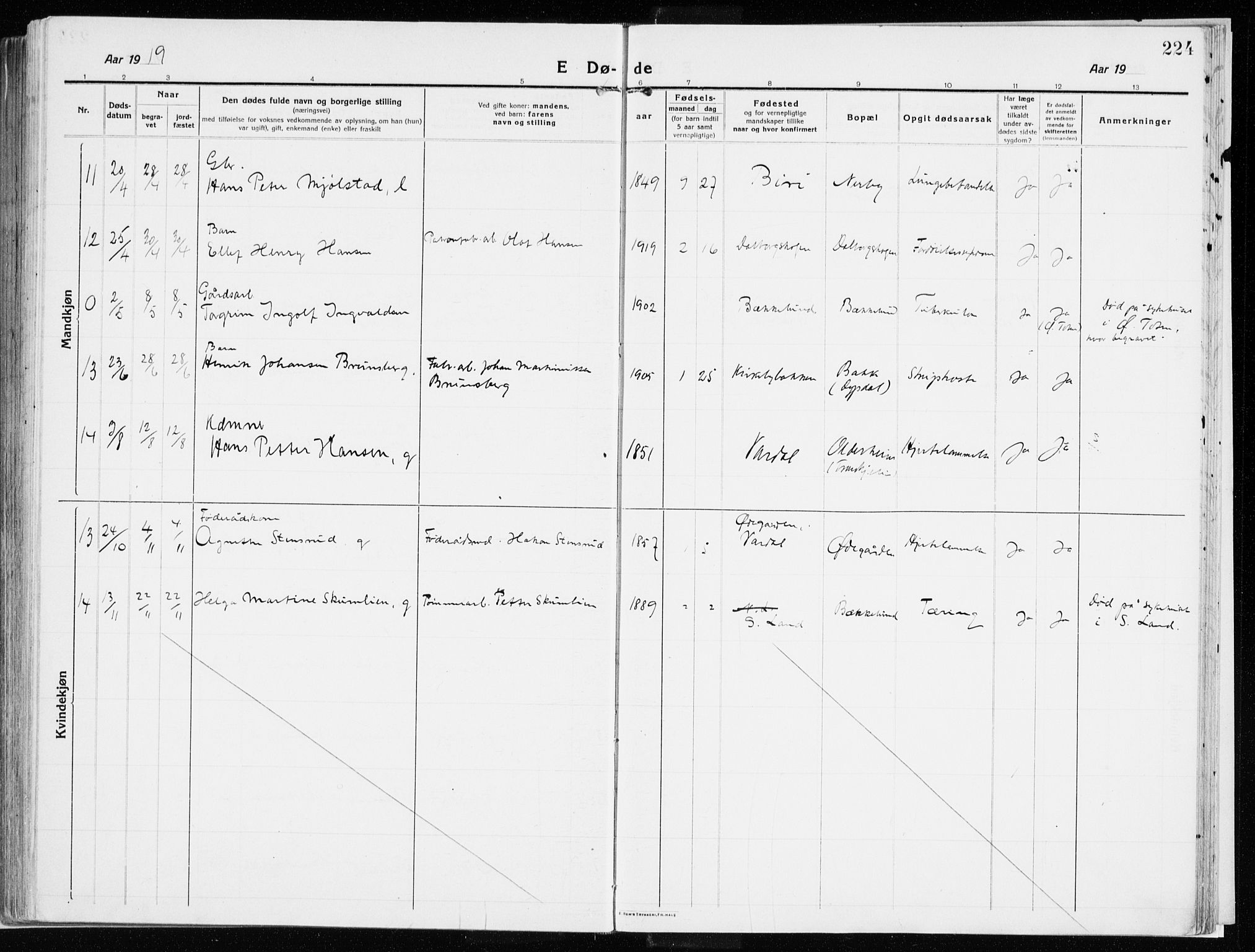 Vardal prestekontor, AV/SAH-PREST-100/H/Ha/Haa/L0017: Parish register (official) no. 17, 1915-1929, p. 224