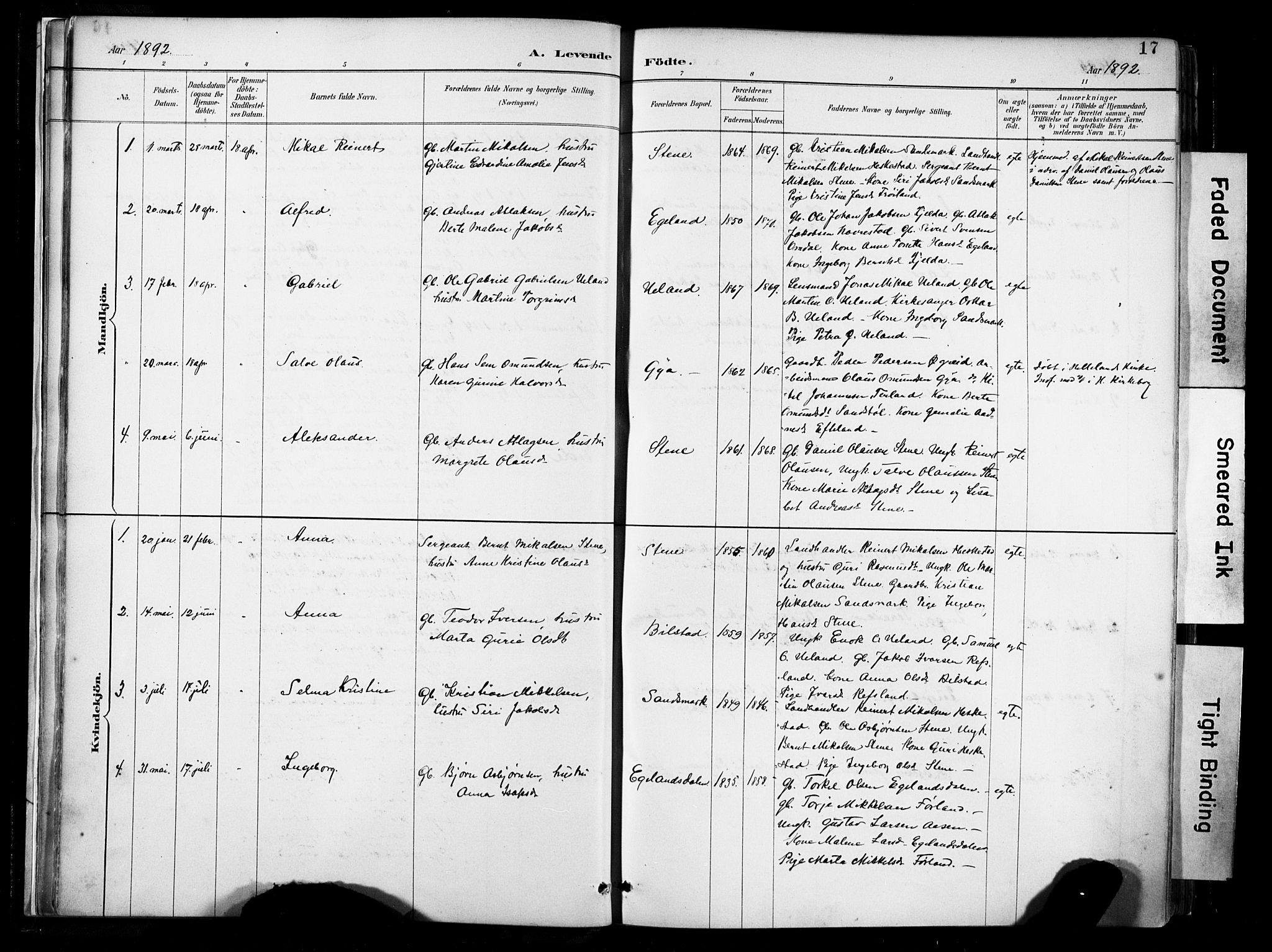 Lund sokneprestkontor, AV/SAST-A-101809/S06/L0012: Parish register (official) no. A 11, 1887-1921, p. 17