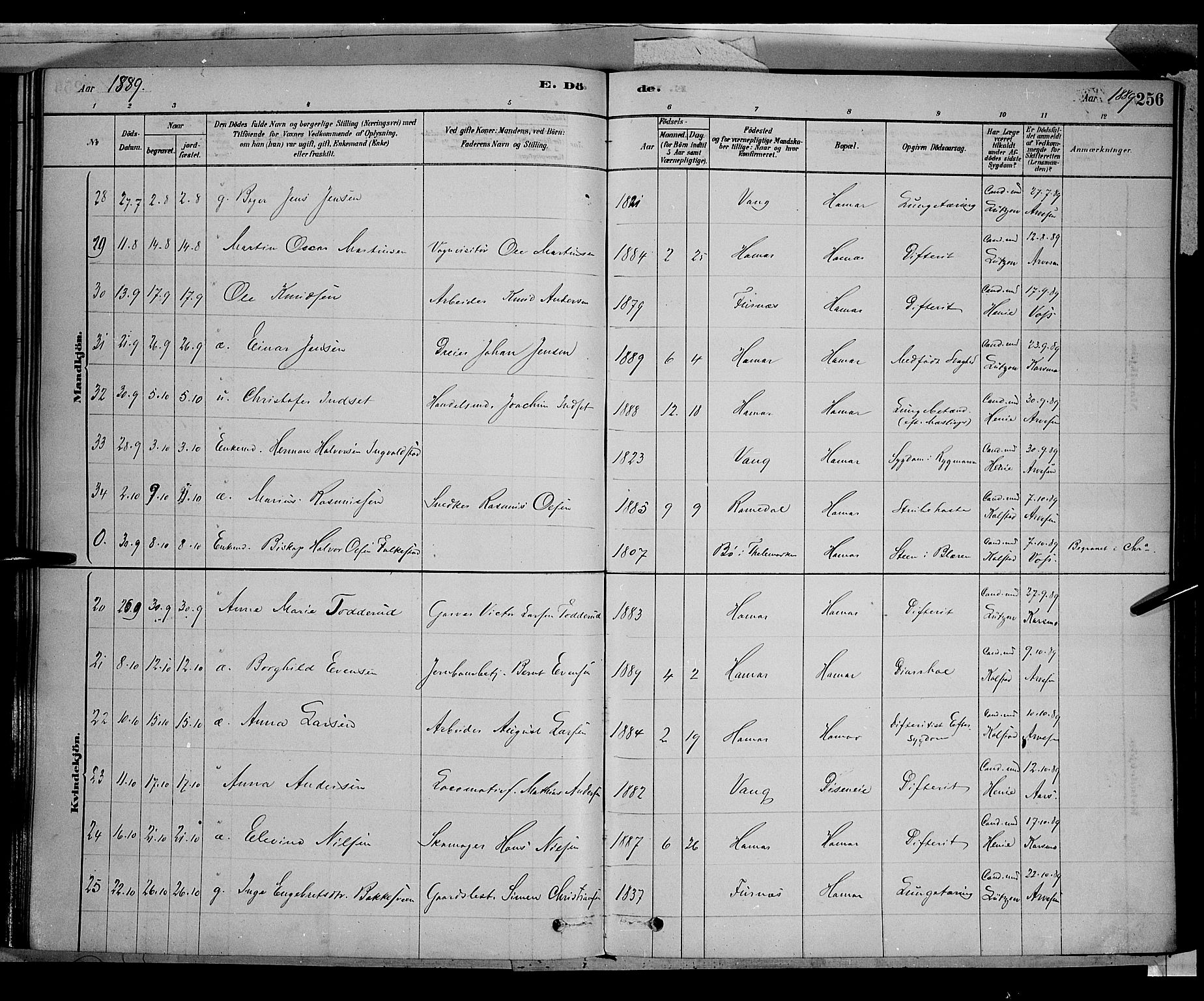 Vang prestekontor, Hedmark, AV/SAH-PREST-008/H/Ha/Haa/L0016: Parish register (official) no. 16, 1878-1889, p. 256