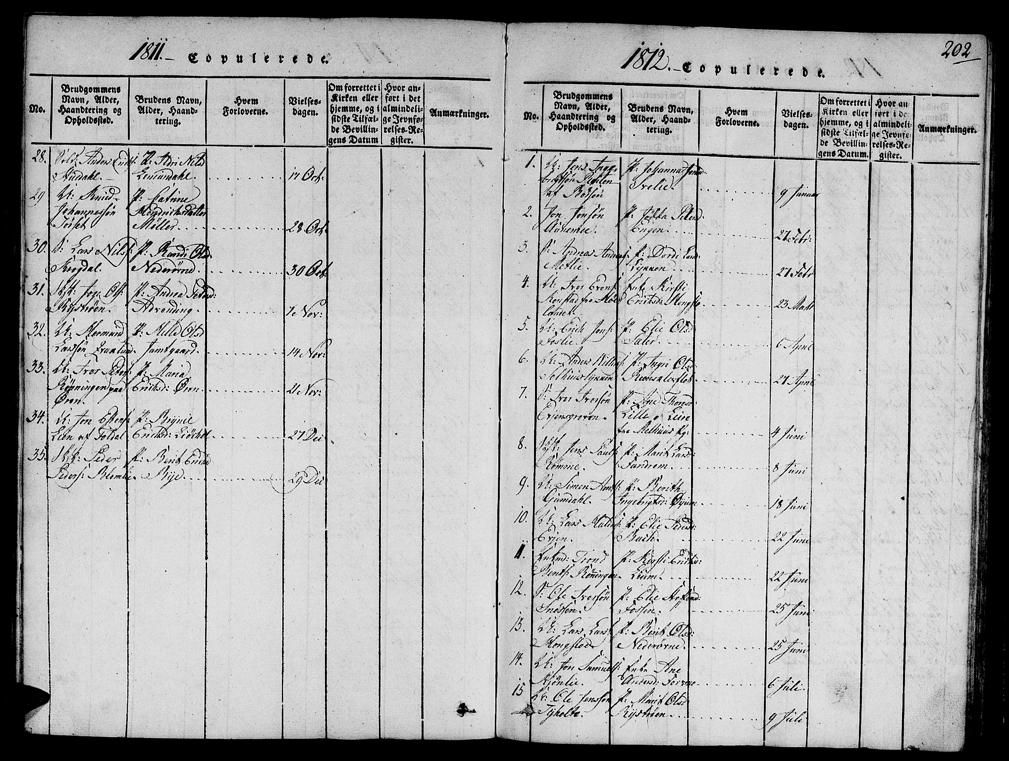 Ministerialprotokoller, klokkerbøker og fødselsregistre - Sør-Trøndelag, SAT/A-1456/668/L0803: Parish register (official) no. 668A03, 1800-1826, p. 202