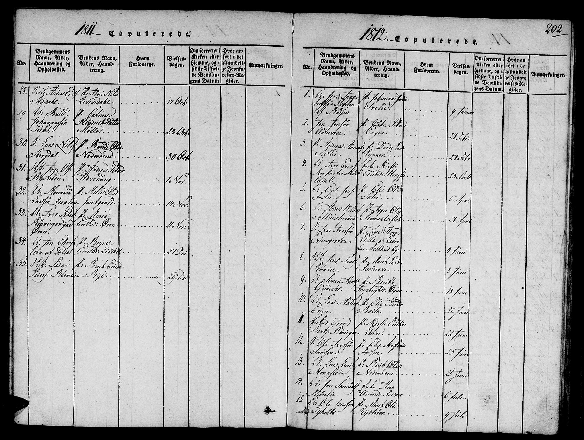 Ministerialprotokoller, klokkerbøker og fødselsregistre - Sør-Trøndelag, AV/SAT-A-1456/668/L0803: Parish register (official) no. 668A03, 1800-1826, p. 202