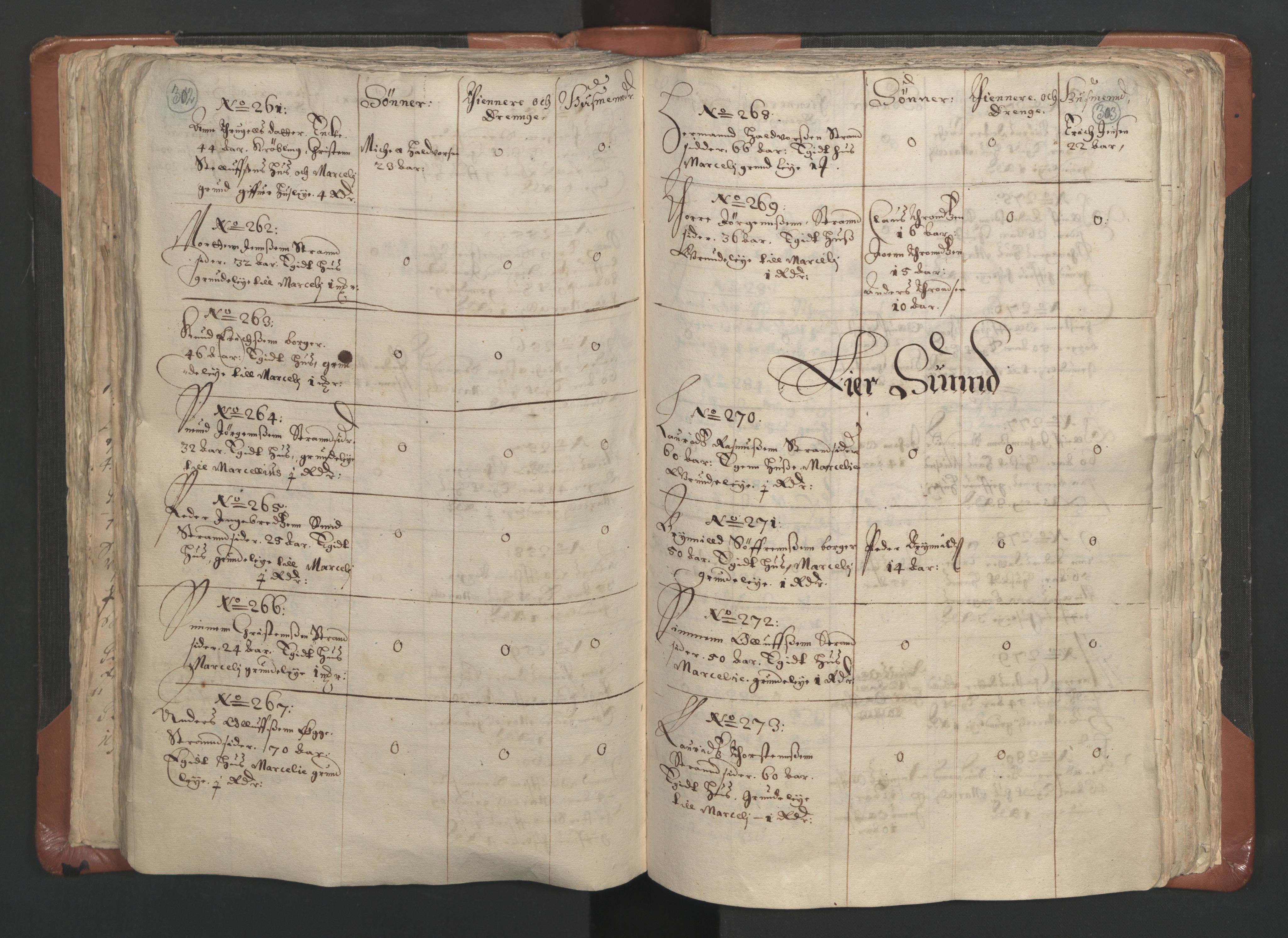 RA, Vicar's Census 1664-1666, no. 9: Bragernes deanery, 1664-1666, p. 302-303