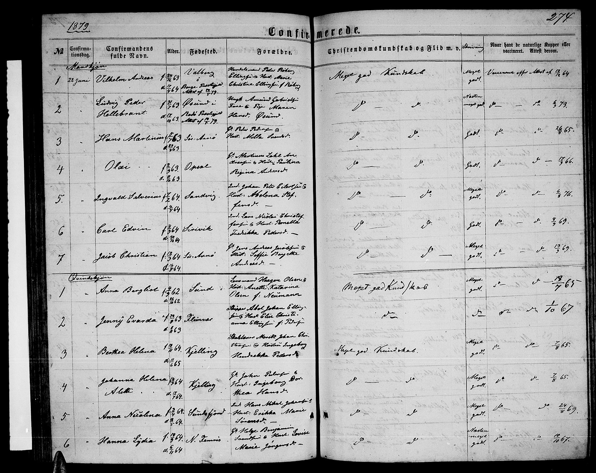 Ministerialprotokoller, klokkerbøker og fødselsregistre - Nordland, AV/SAT-A-1459/805/L0107: Parish register (copy) no. 805C03, 1862-1885, p. 274