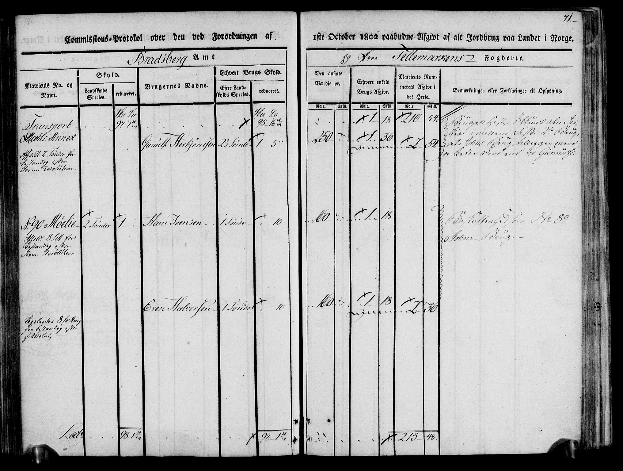 Rentekammeret inntil 1814, Realistisk ordnet avdeling, AV/RA-EA-4070/N/Ne/Nea/L0074: Øvre Telemarken fogderi. Kommisjonsprotokoll for fogderiets østre del - Tinn, Hjartdal og Seljord prestegjeld., 1803, p. 71