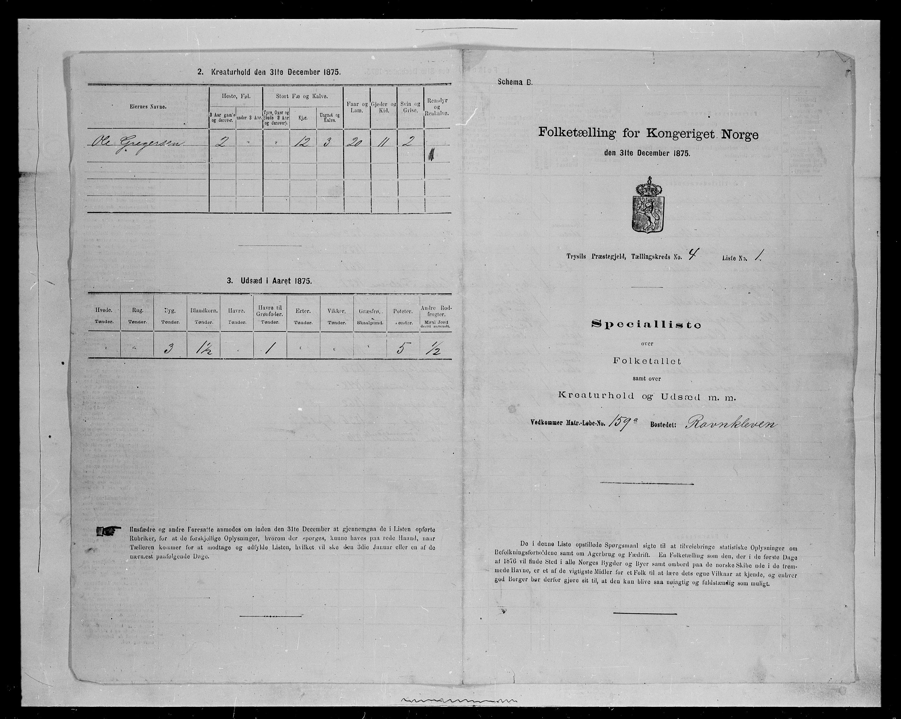 SAH, 1875 census for 0428P Trysil, 1875, p. 539