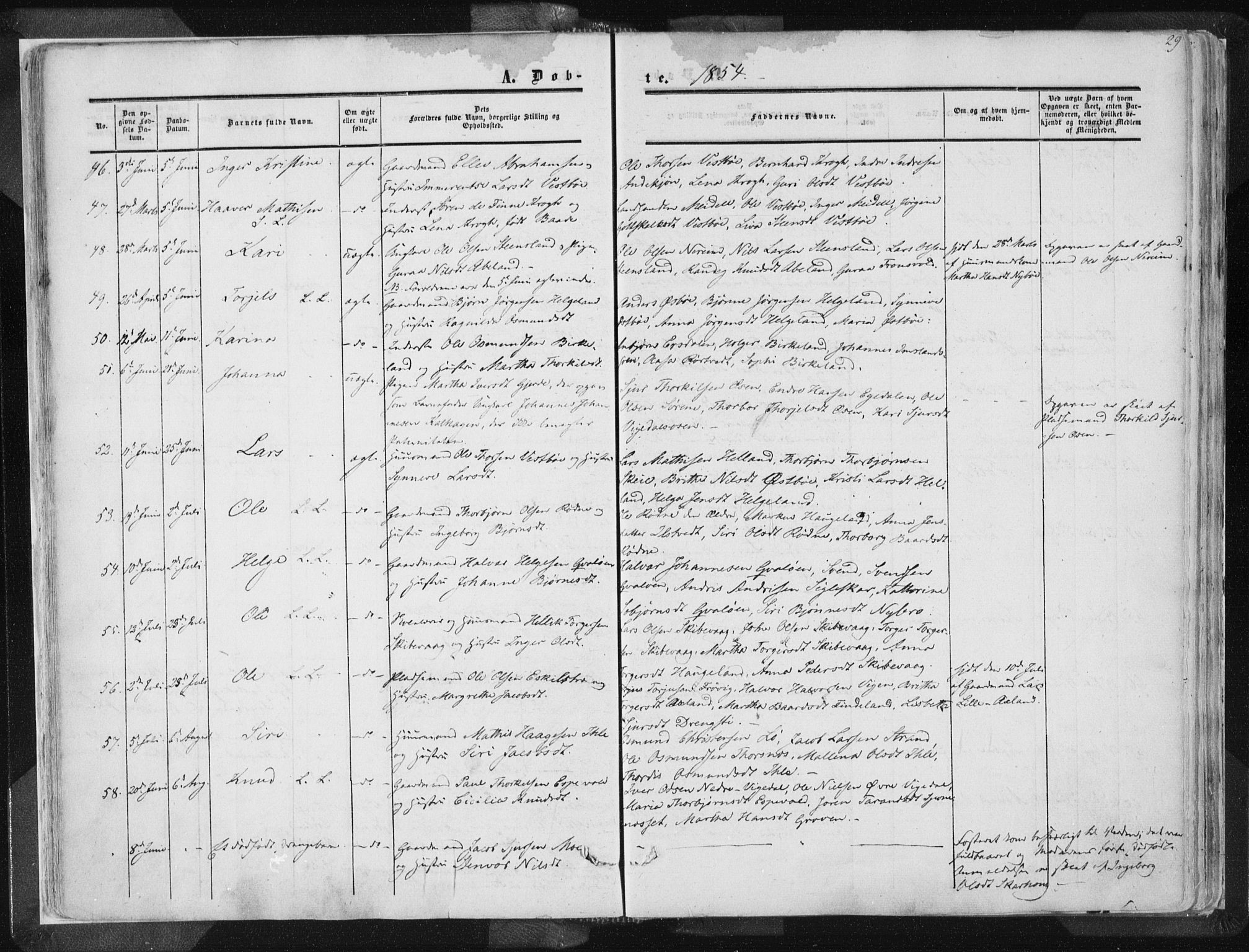 Vikedal sokneprestkontor, AV/SAST-A-101840/01/IV: Parish register (official) no. A 6.1, 1851-1867, p. 29