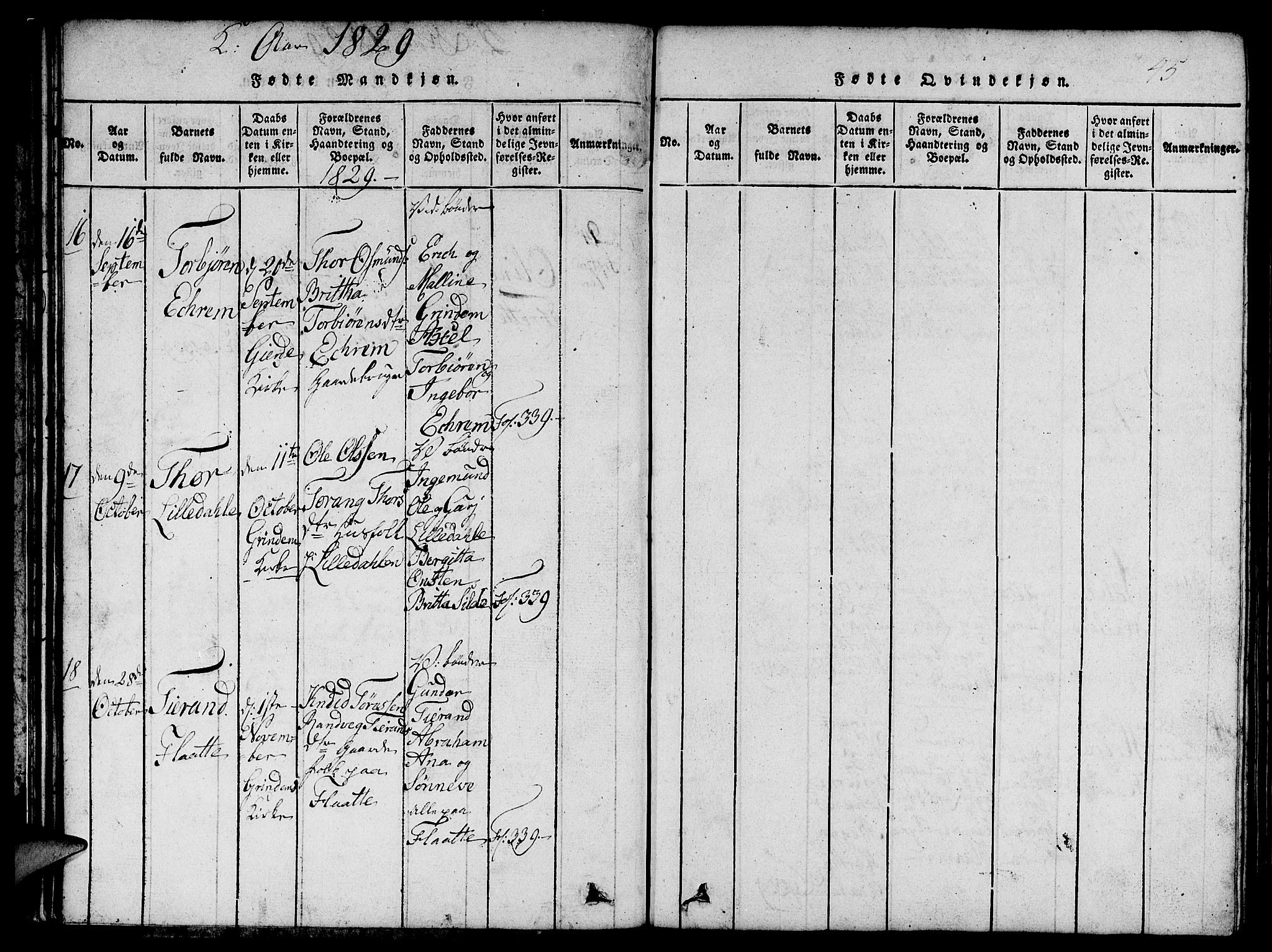 Etne sokneprestembete, AV/SAB-A-75001/H/Hab: Parish register (copy) no. C 1, 1816-1841, p. 45