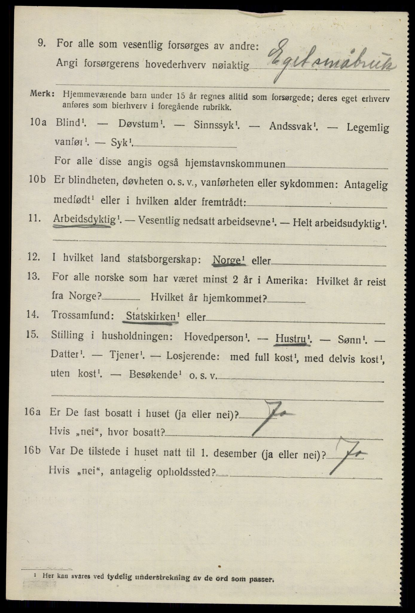 SAO, 1920 census for Nes, 1920, p. 17717