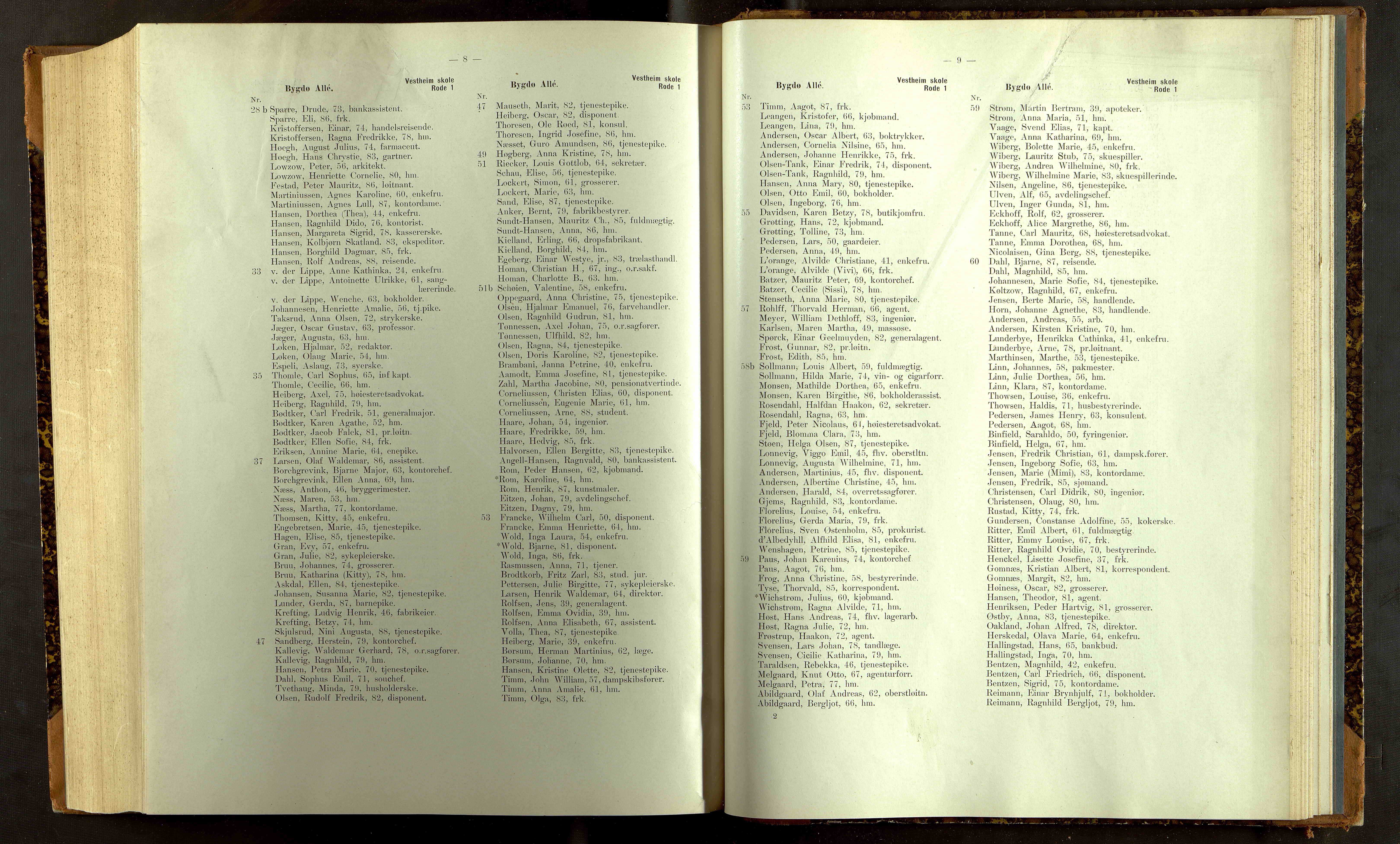 Folkeregisteret ( Valgstyret ), OBA/A-20059, 1913, p. 13008-13009