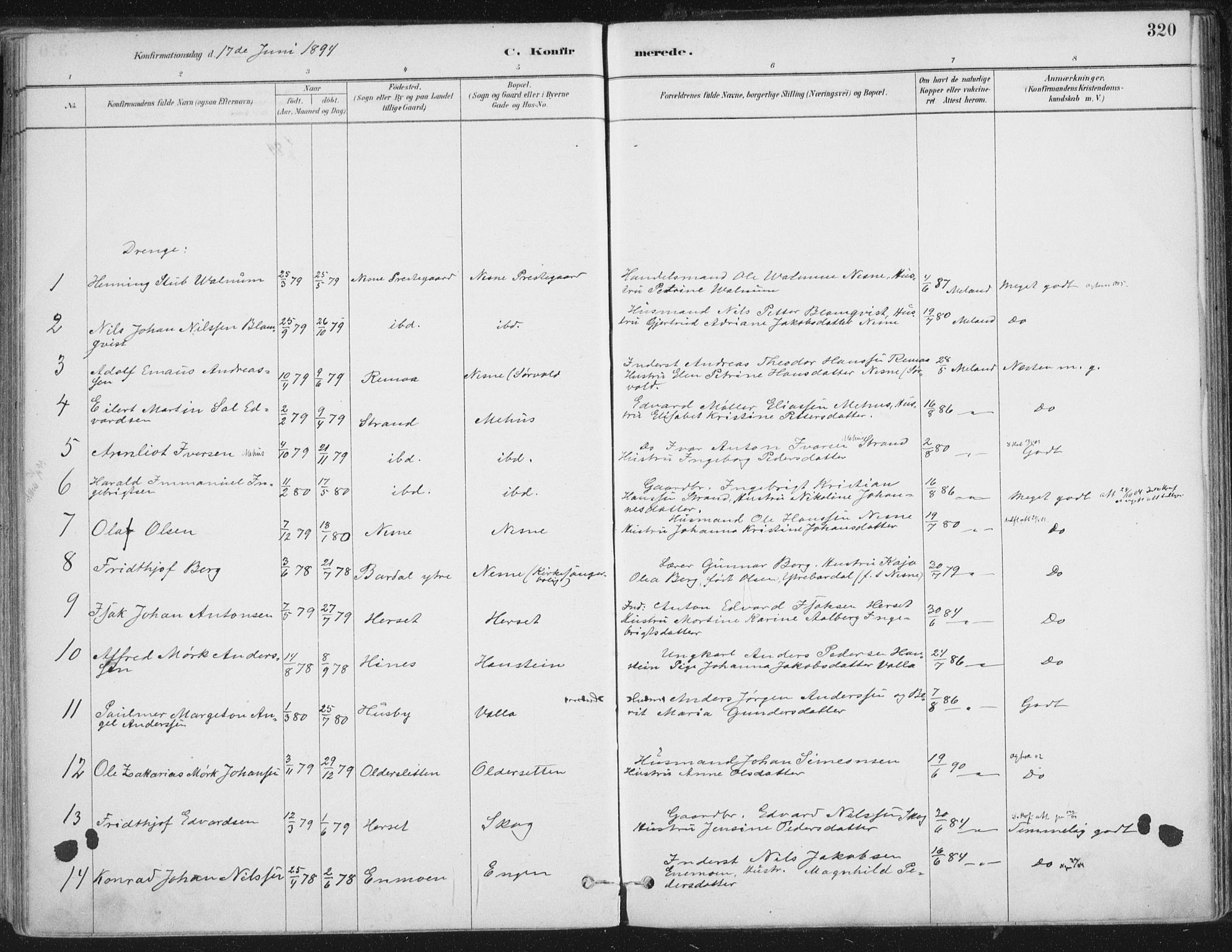 Ministerialprotokoller, klokkerbøker og fødselsregistre - Nordland, AV/SAT-A-1459/838/L0552: Parish register (official) no. 838A10, 1880-1910, p. 320