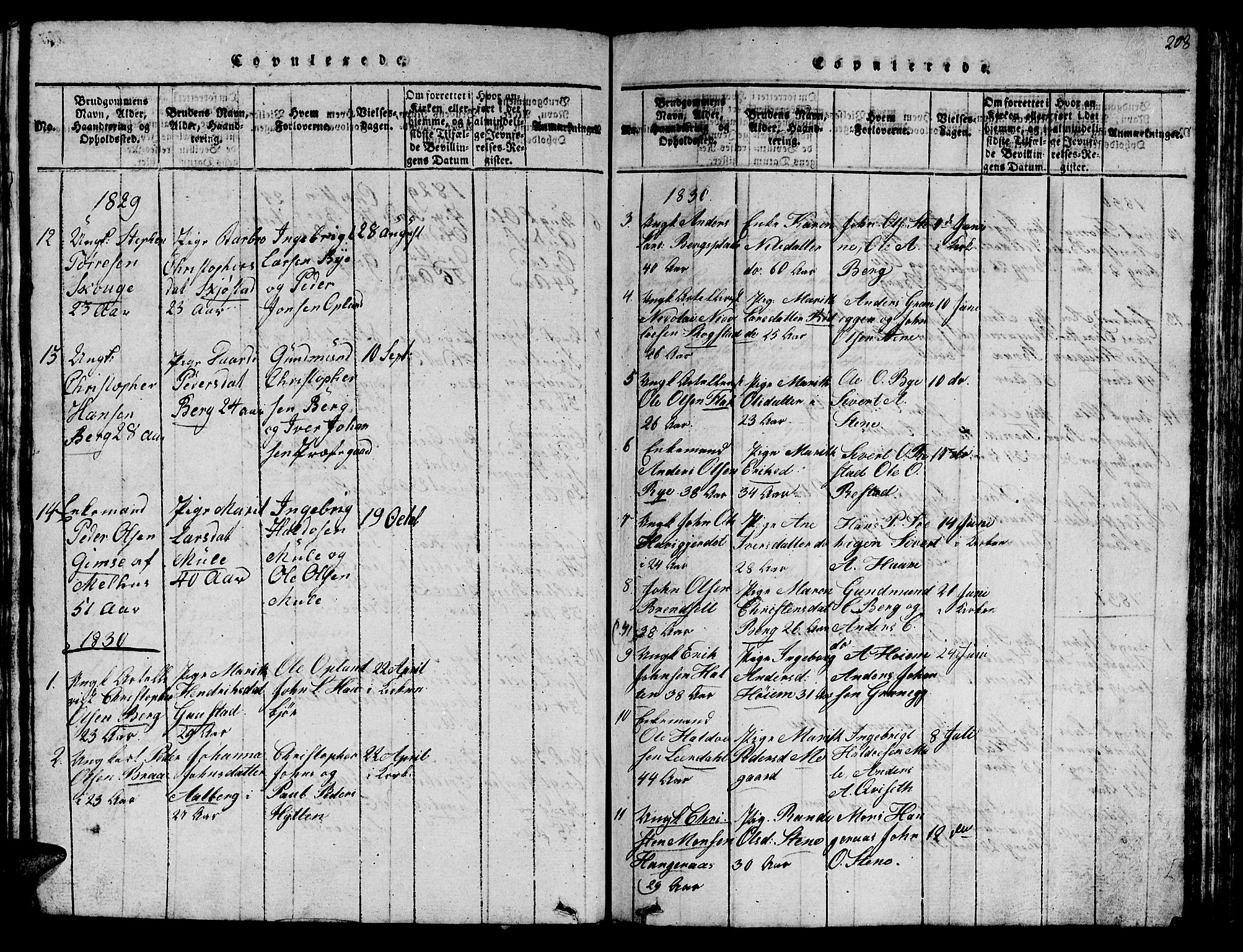 Ministerialprotokoller, klokkerbøker og fødselsregistre - Sør-Trøndelag, SAT/A-1456/612/L0385: Parish register (copy) no. 612C01, 1816-1845, p. 208
