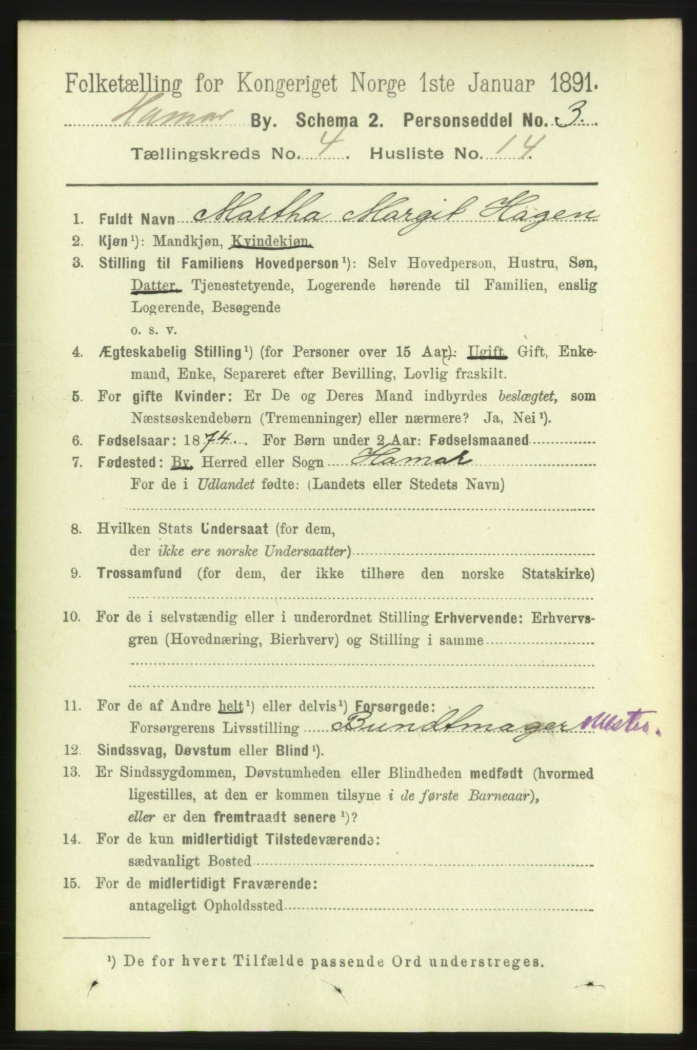 RA, 1891 census for 0401 Hamar, 1891, p. 3028