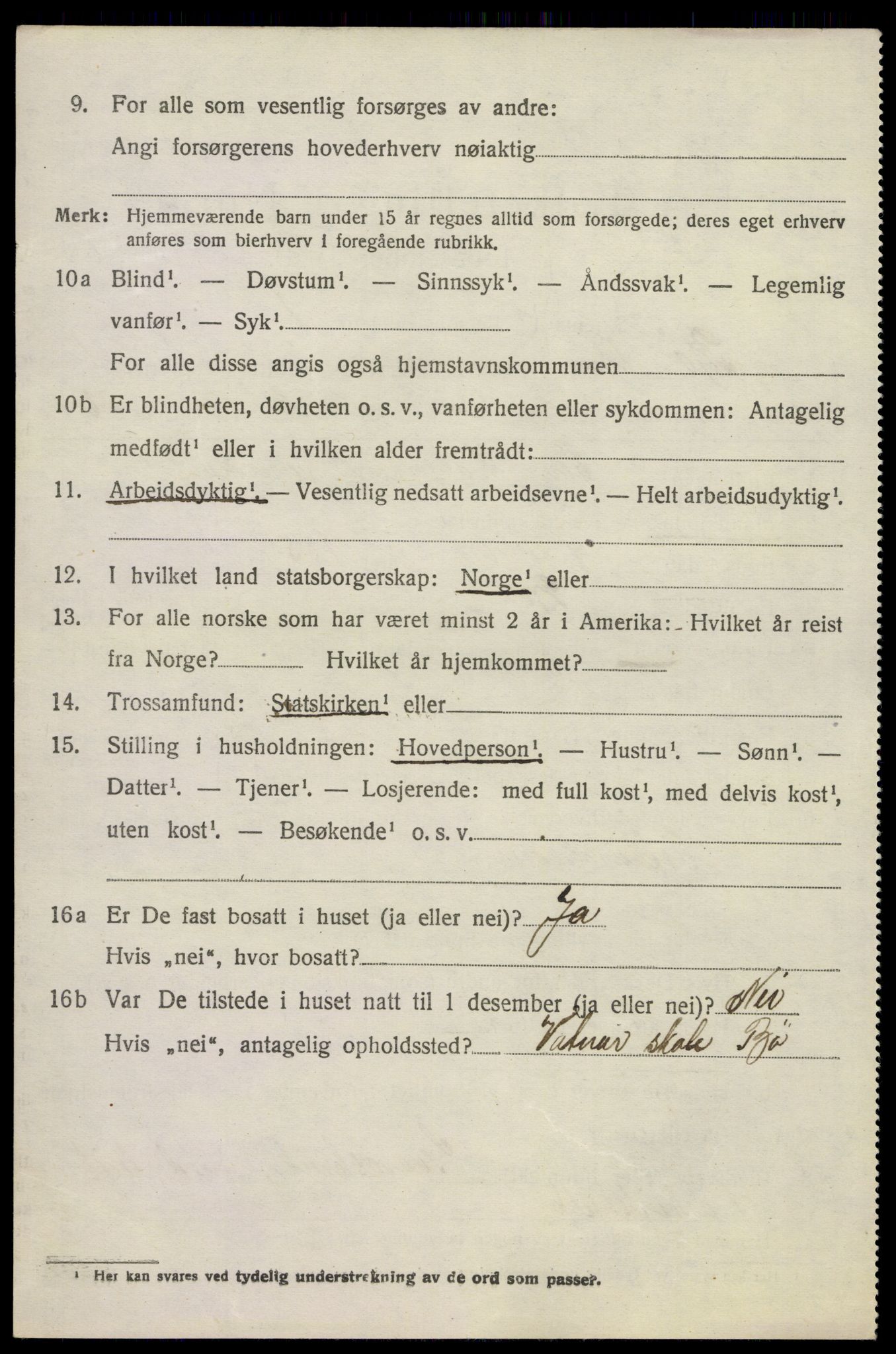 SAKO, 1920 census for Bø (Telemark), 1920, p. 1245