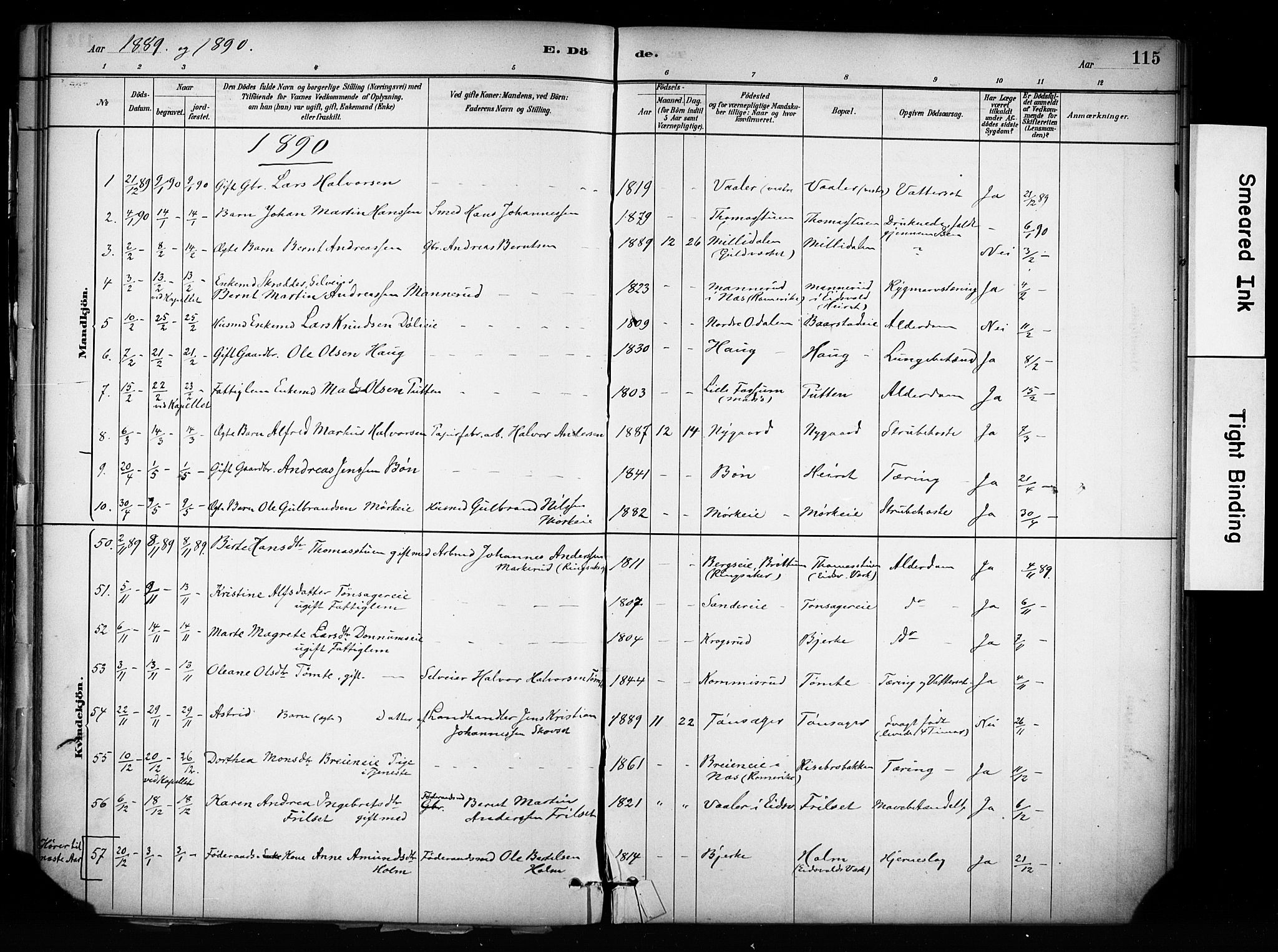 Eidsvoll prestekontor Kirkebøker, SAO/A-10888/F/Fa/L0003: Parish register (official) no. I 3, 1882-1895, p. 115