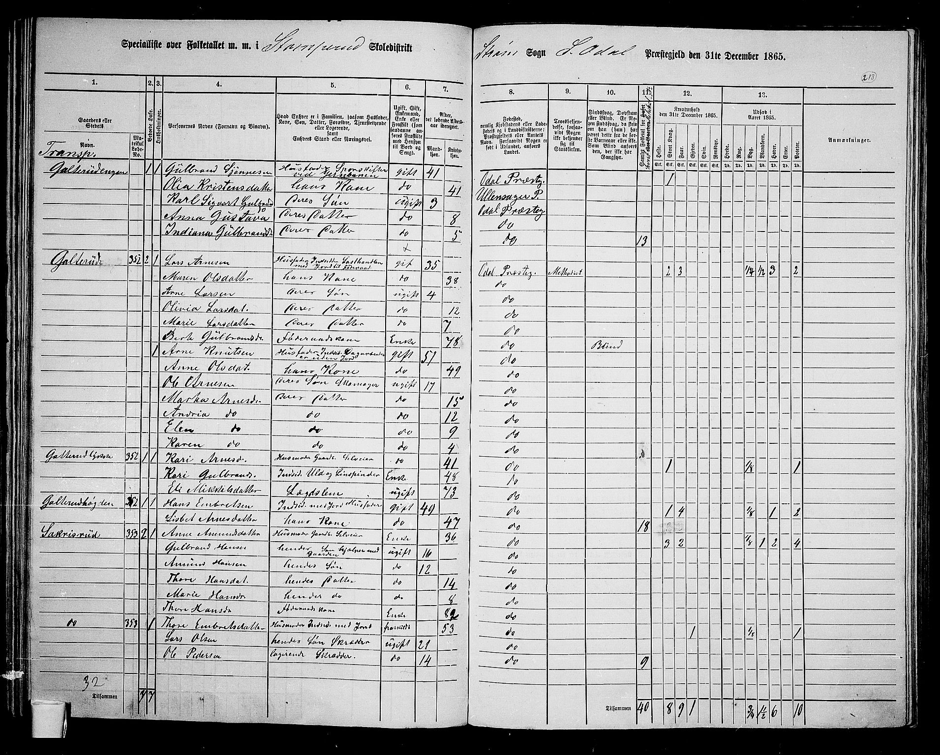 RA, 1865 census for Sør-Odal, 1865, p. 188