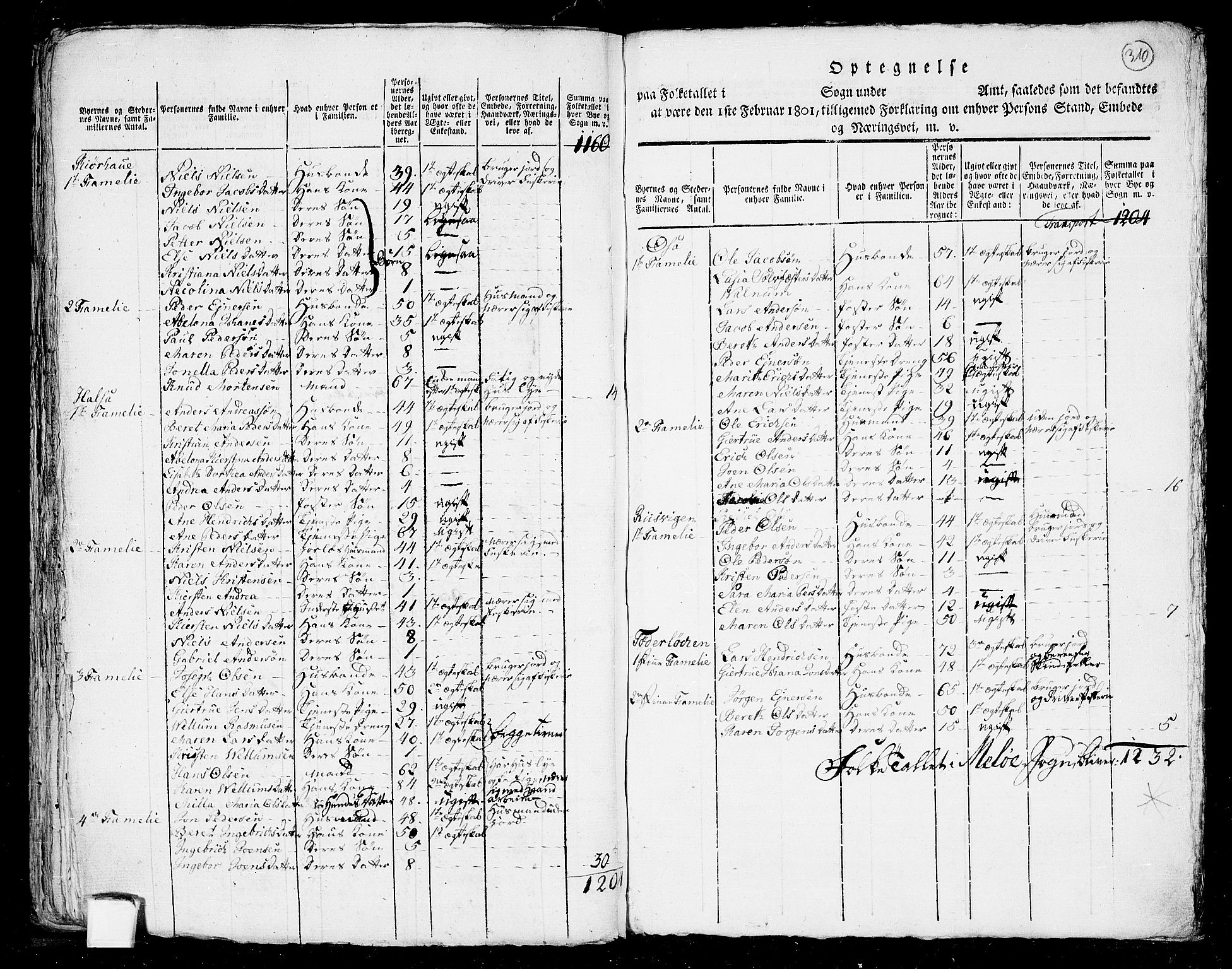 RA, 1801 census for 1836P Rødøy, 1801, p. 309b-310a