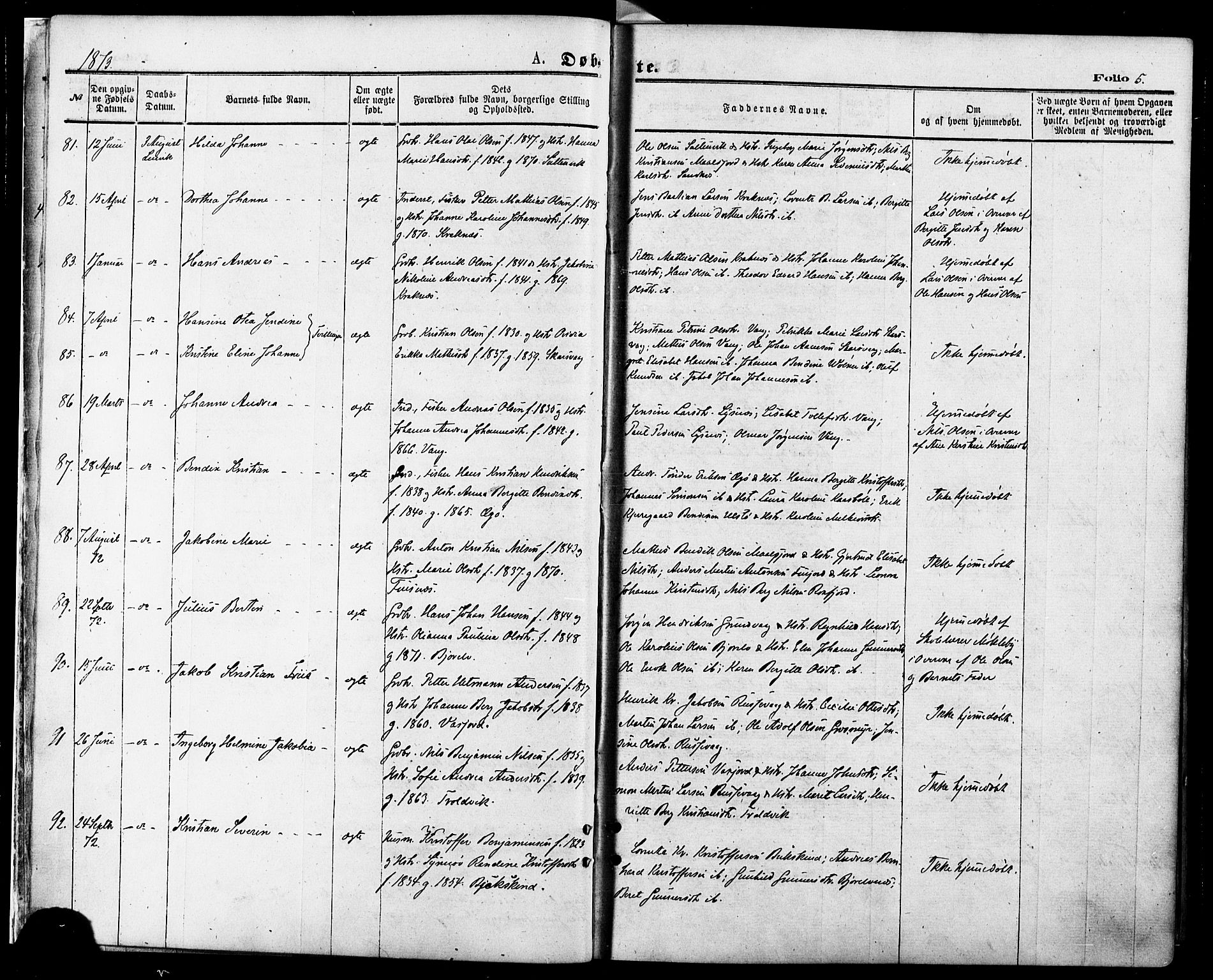 Lenvik sokneprestembete, SATØ/S-1310/H/Ha/Haa/L0010kirke: Parish register (official) no. 10, 1873-1880, p. 5