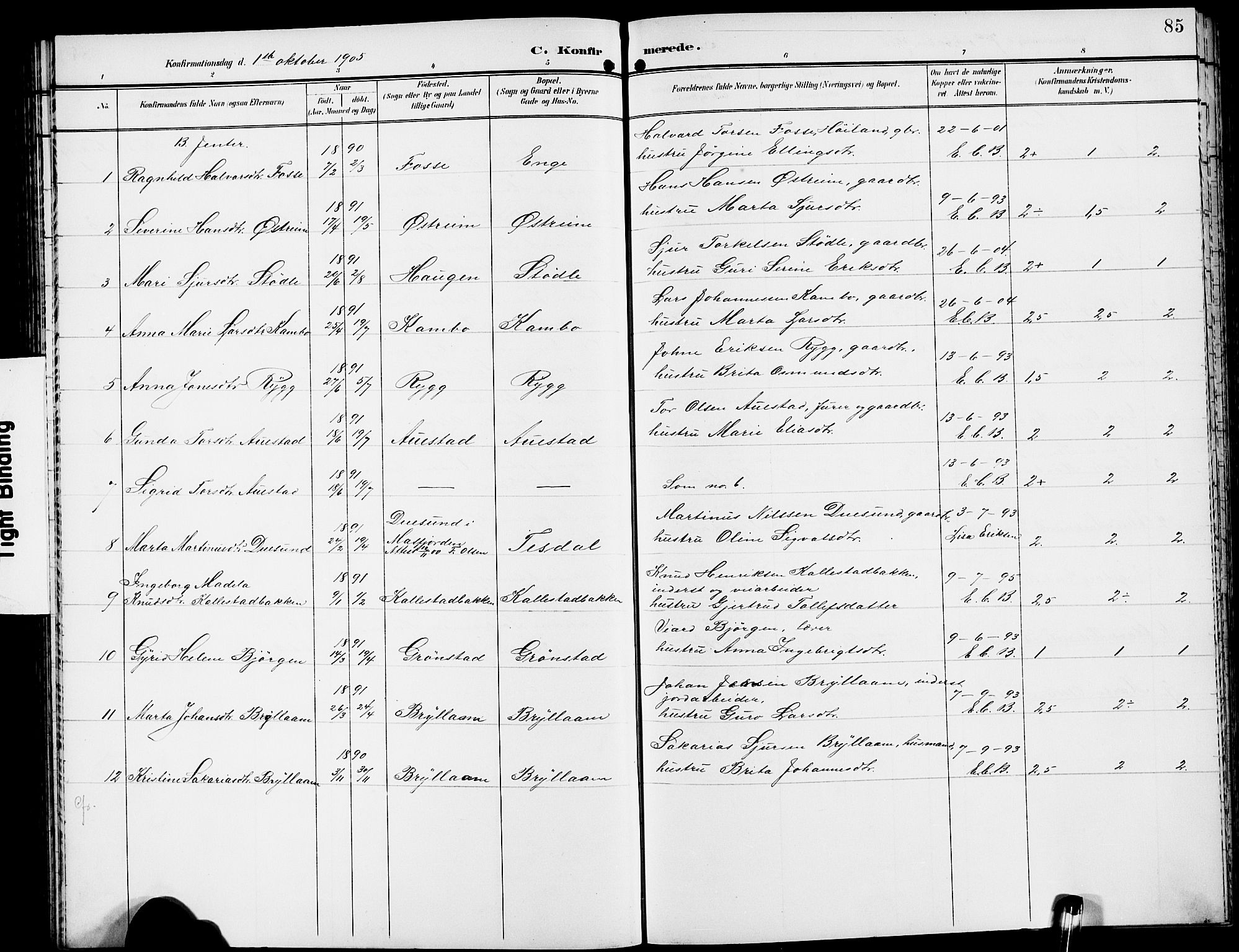 Etne sokneprestembete, AV/SAB-A-75001/H/Hab: Parish register (copy) no. A 6, 1897-1924, p. 85