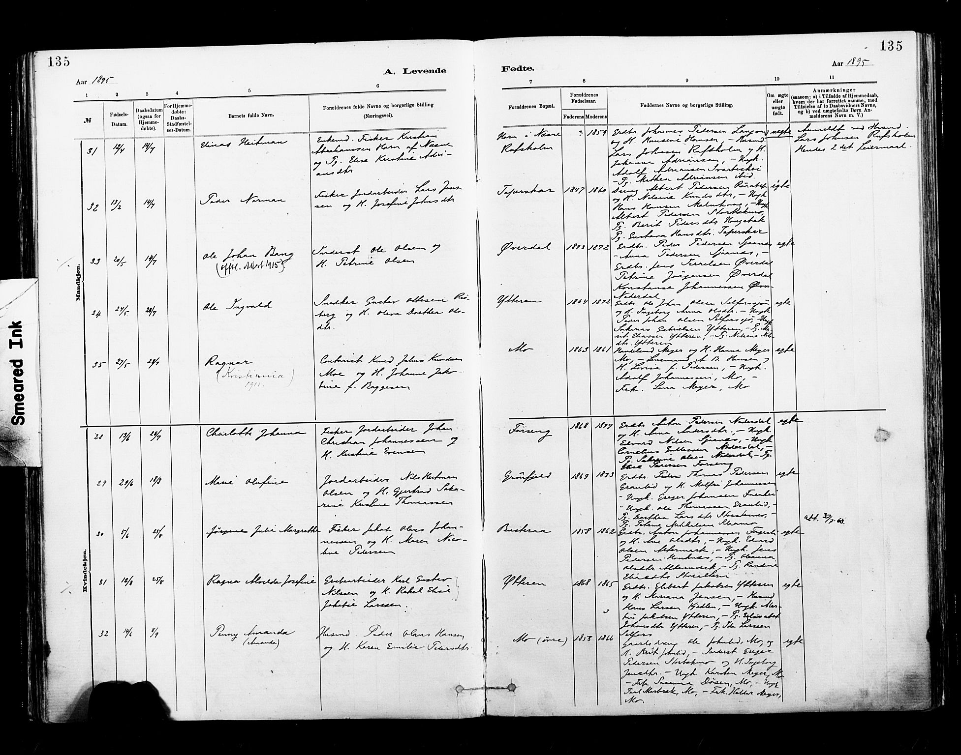 Ministerialprotokoller, klokkerbøker og fødselsregistre - Nordland, AV/SAT-A-1459/827/L0400: Parish register (official) no. 827A12, 1883-1903, p. 135