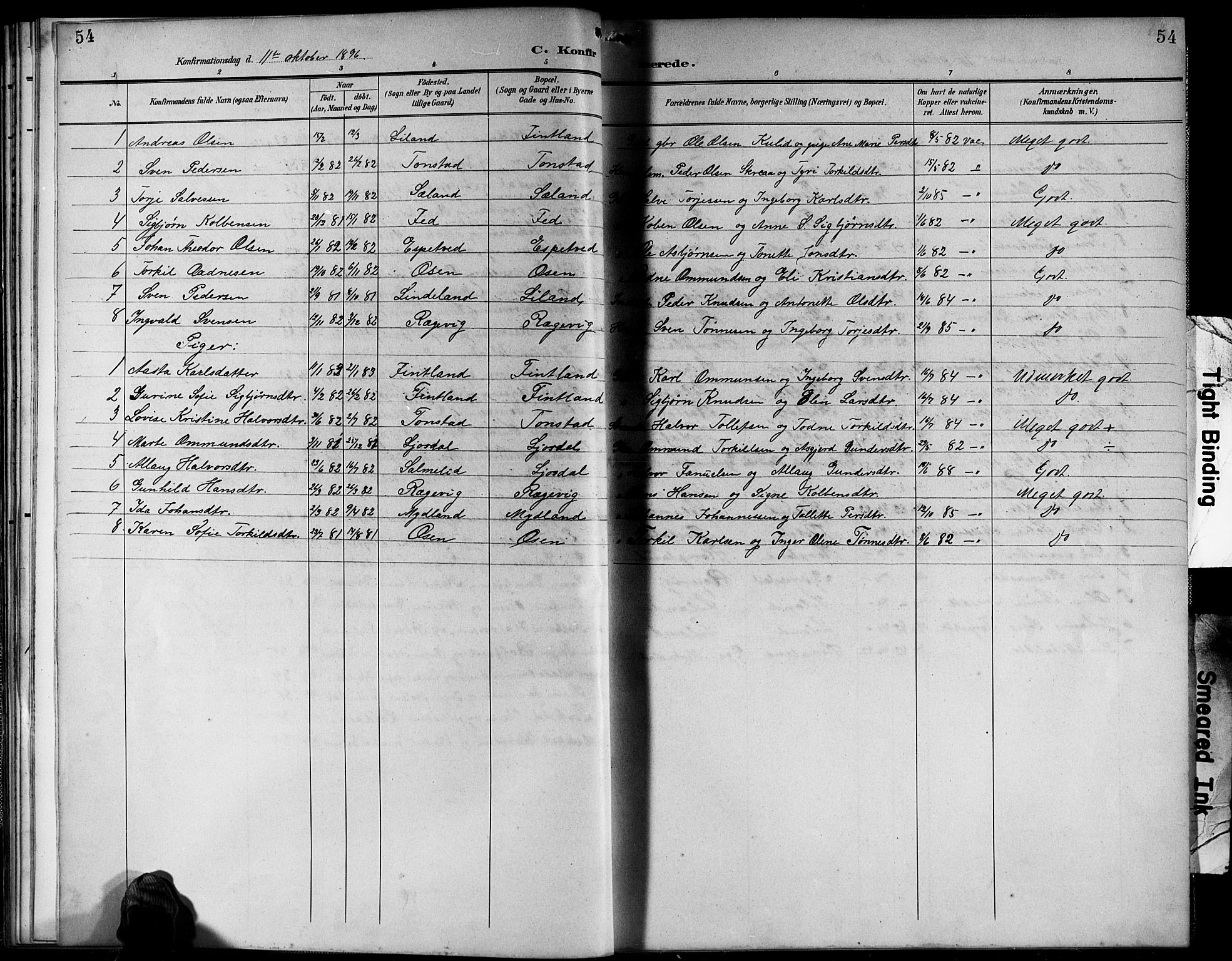 Sirdal sokneprestkontor, SAK/1111-0036/F/Fb/Fbb/L0004: Parish register (copy) no. B 4, 1895-1916, p. 54