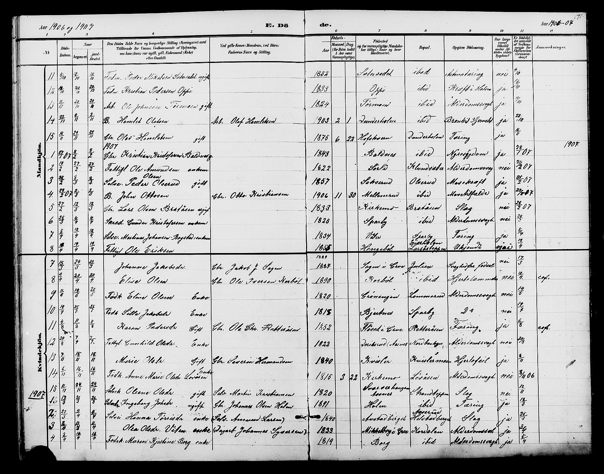 Hof prestekontor, SAH/PREST-038/H/Ha/Hab/L0001: Parish register (copy) no. 1, 1895-1914, p. 171