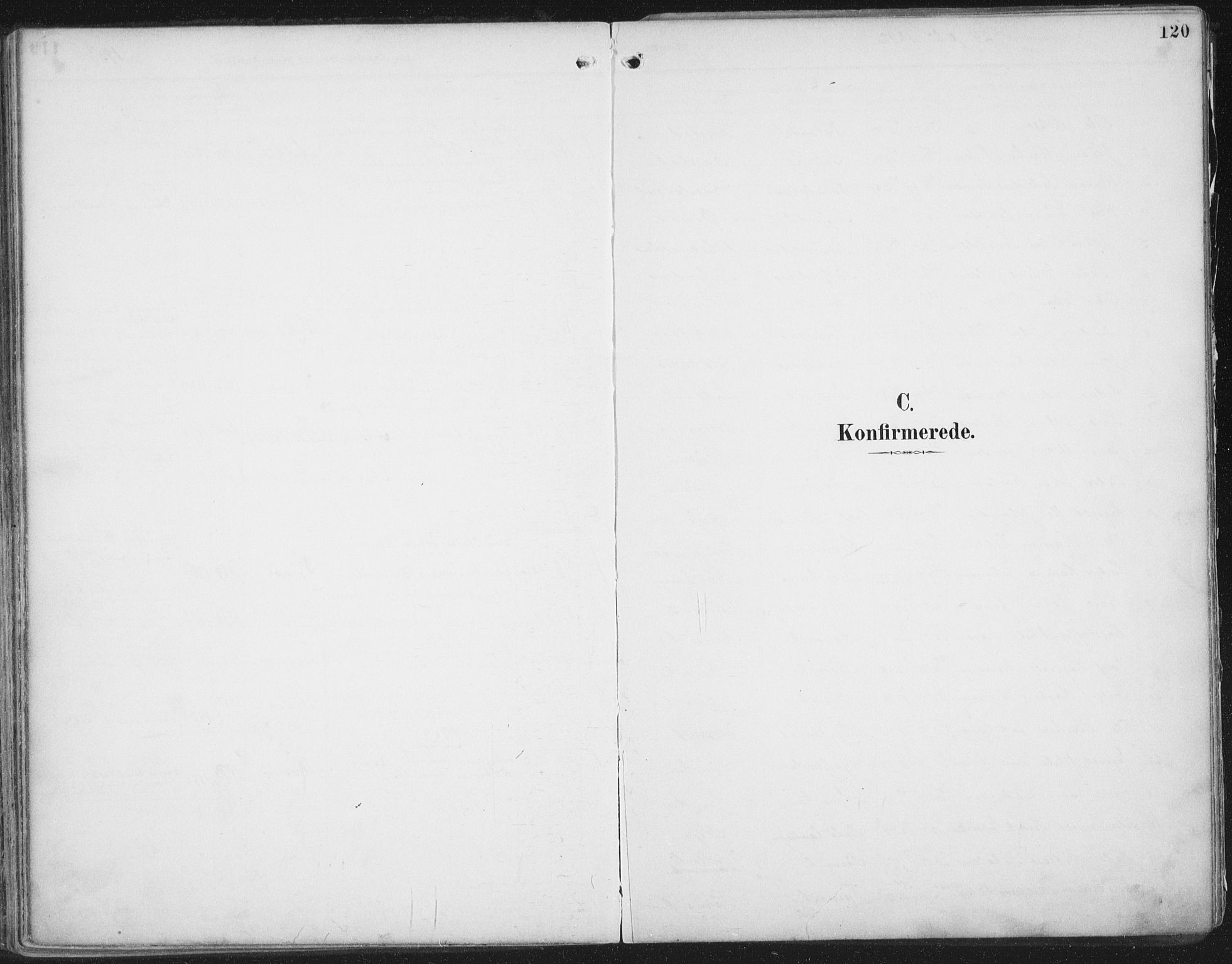 Ministerialprotokoller, klokkerbøker og fødselsregistre - Nordland, SAT/A-1459/854/L0779: Parish register (official) no. 854A02, 1892-1909, p. 120