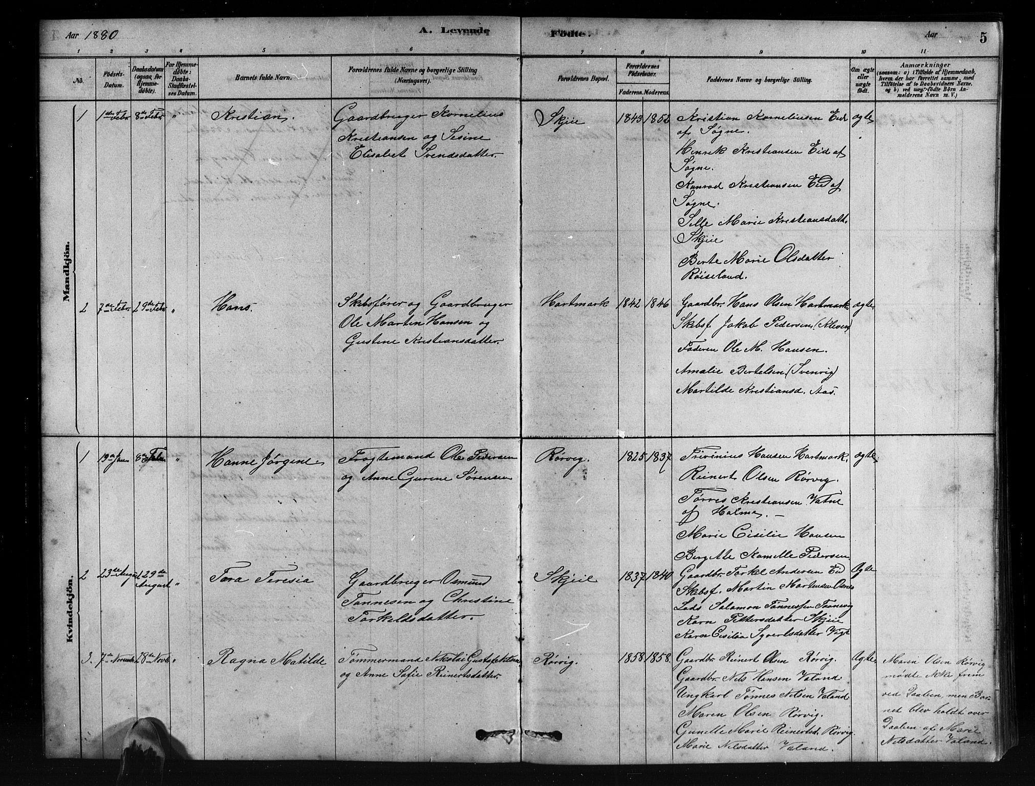 Mandal sokneprestkontor, SAK/1111-0030/F/Fb/Fbb/L0004: Parish register (copy) no. B 4, 1878-1913, p. 5