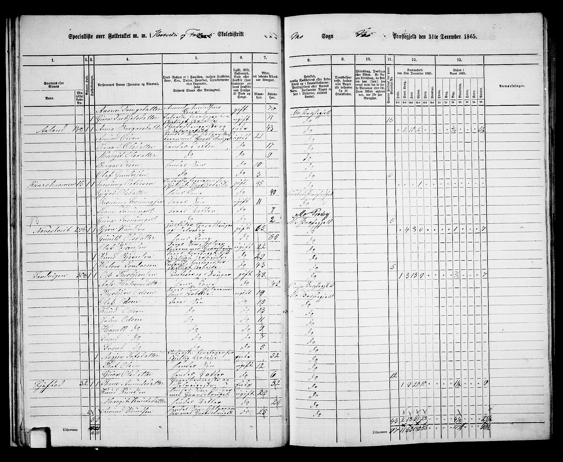 RA, 1865 census for Mo, 1865, p. 25