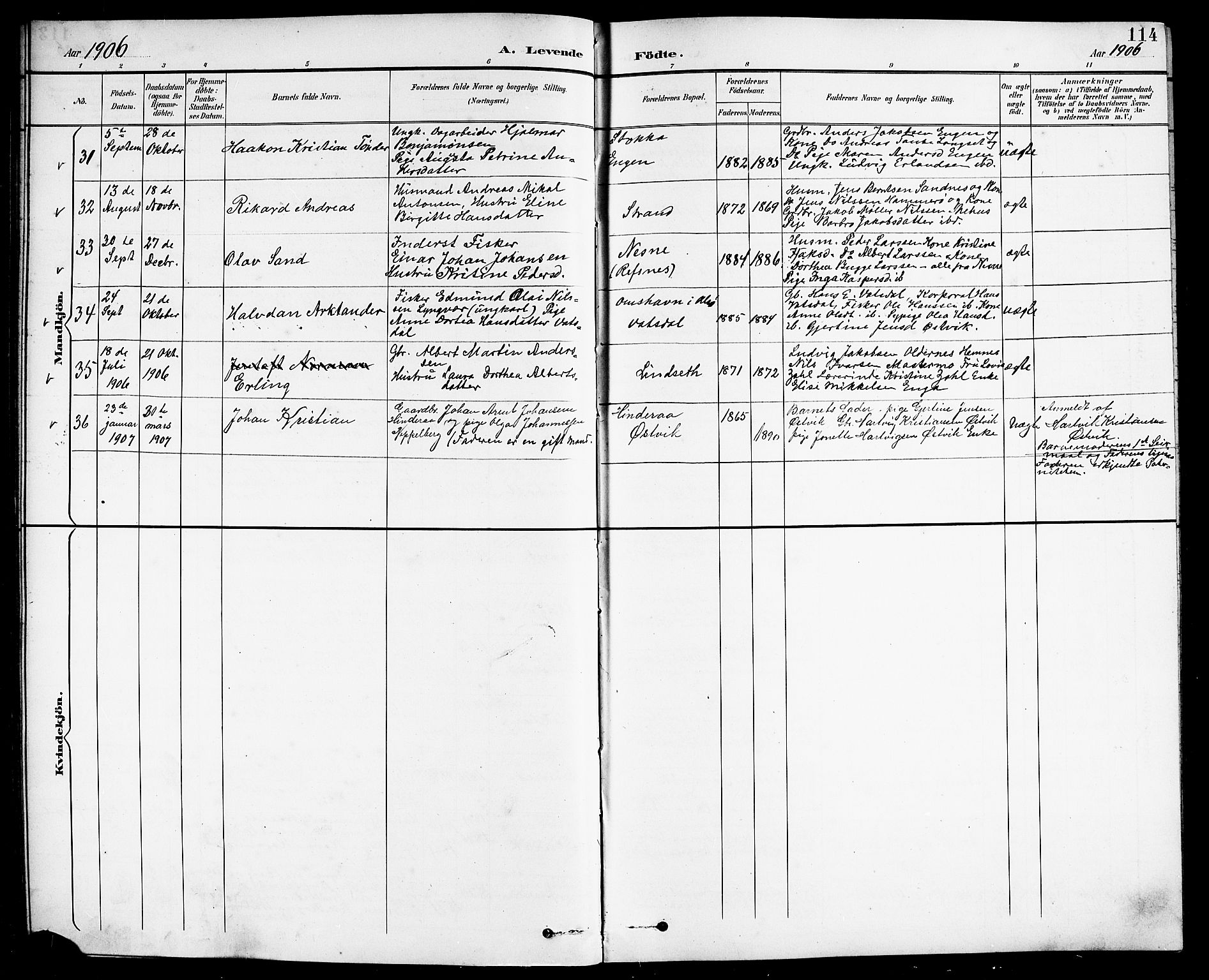 Ministerialprotokoller, klokkerbøker og fødselsregistre - Nordland, AV/SAT-A-1459/838/L0559: Parish register (copy) no. 838C06, 1893-1910, p. 114