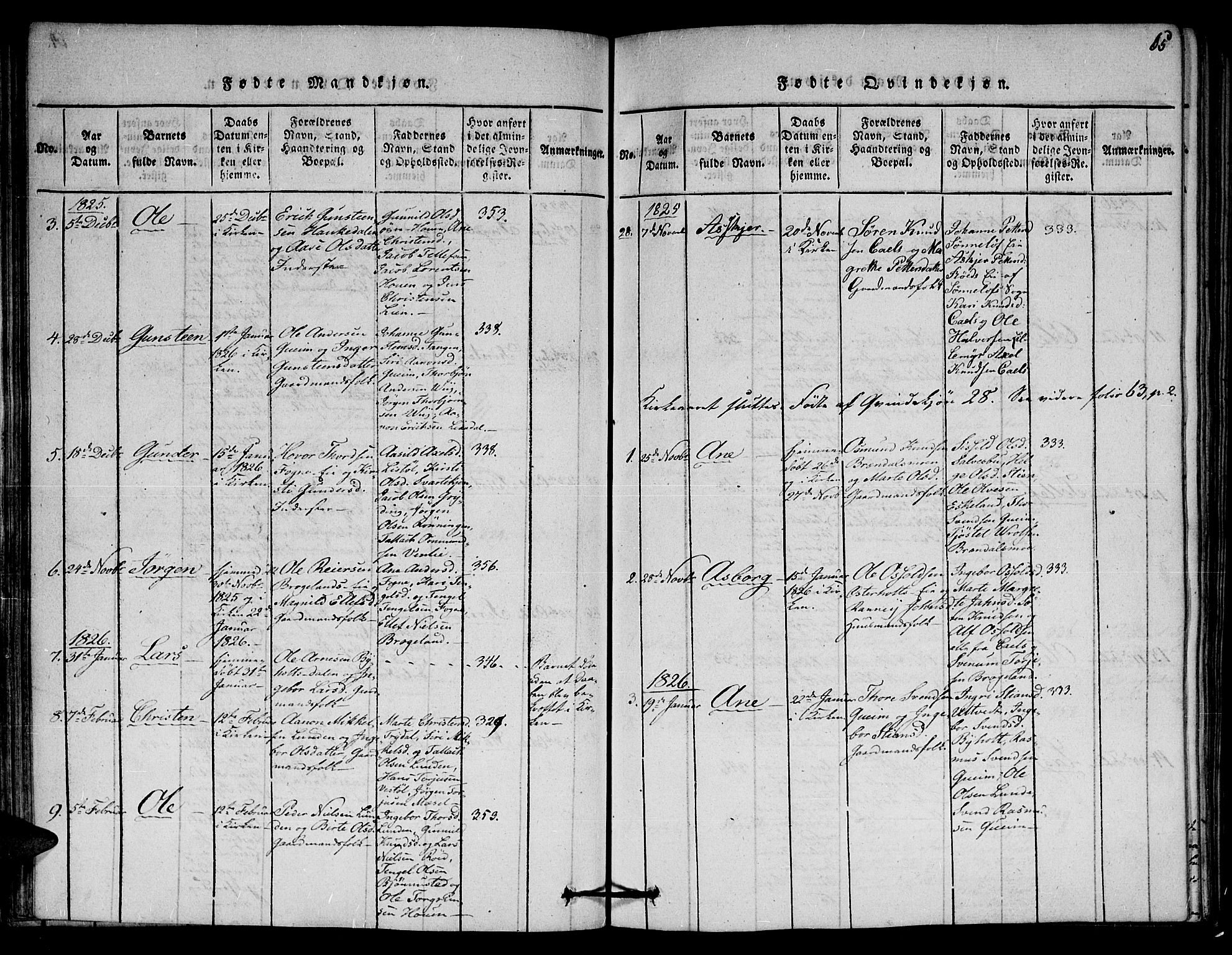 Gjerstad sokneprestkontor, AV/SAK-1111-0014/F/Fa/Faa/L0004: Parish register (official) no. A 4, 1816-1829, p. 65