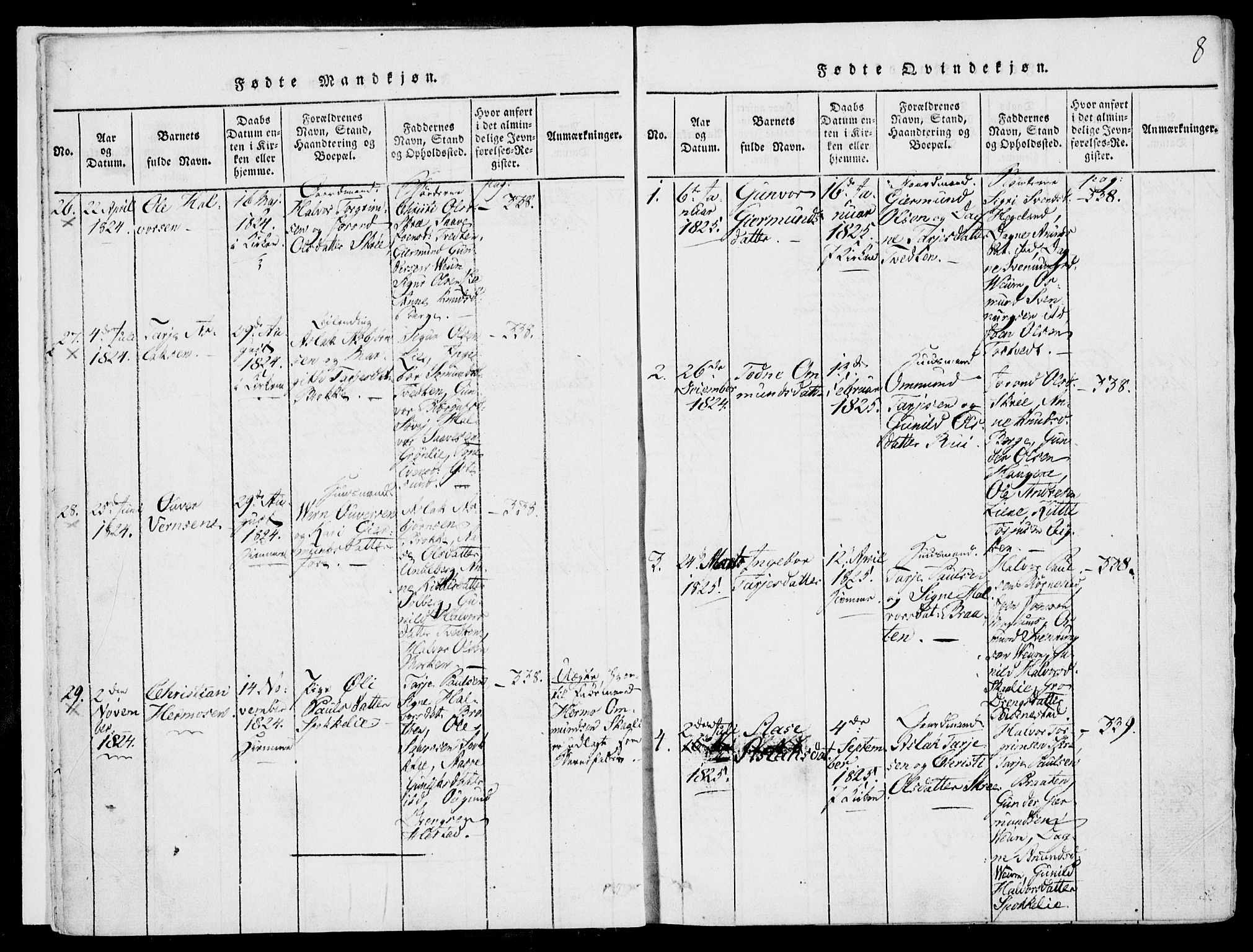 Fyresdal kirkebøker, SAKO/A-263/F/Fb/L0001: Parish register (official) no. II 1, 1815-1854, p. 8