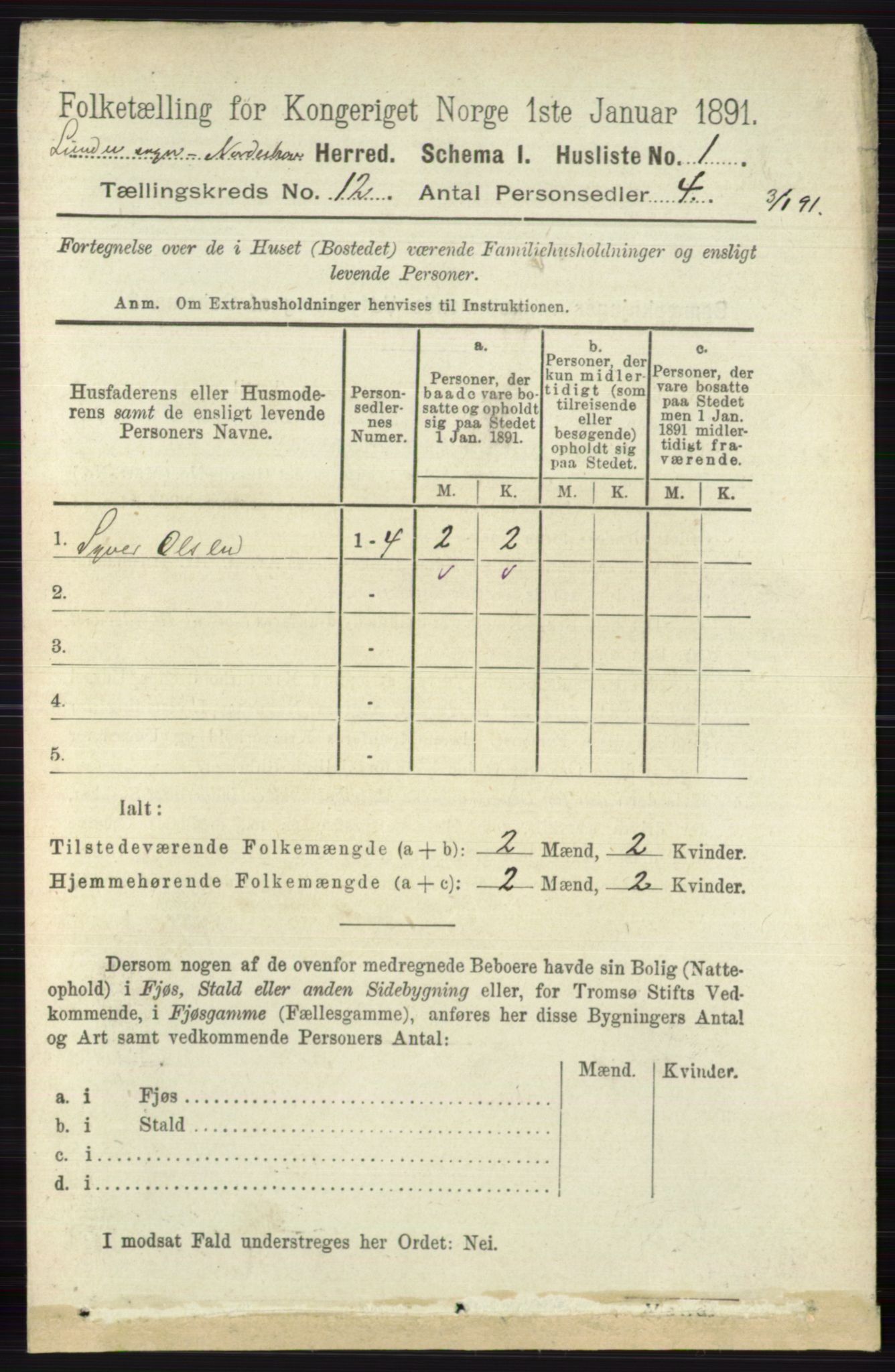 RA, 1891 census for 0613 Norderhov, 1891, p. 8488