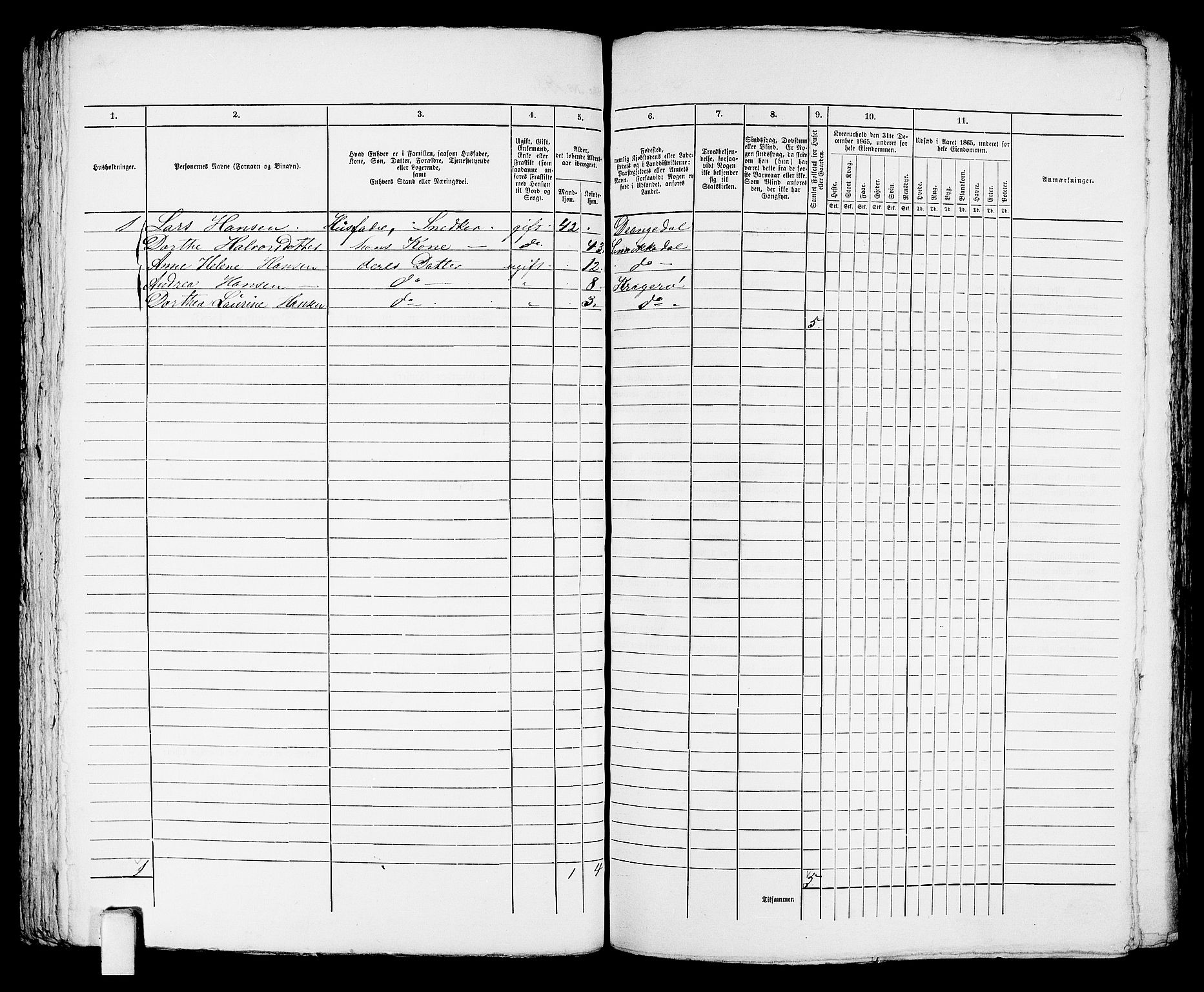 RA, 1865 census for Kragerø/Kragerø, 1865, p. 216