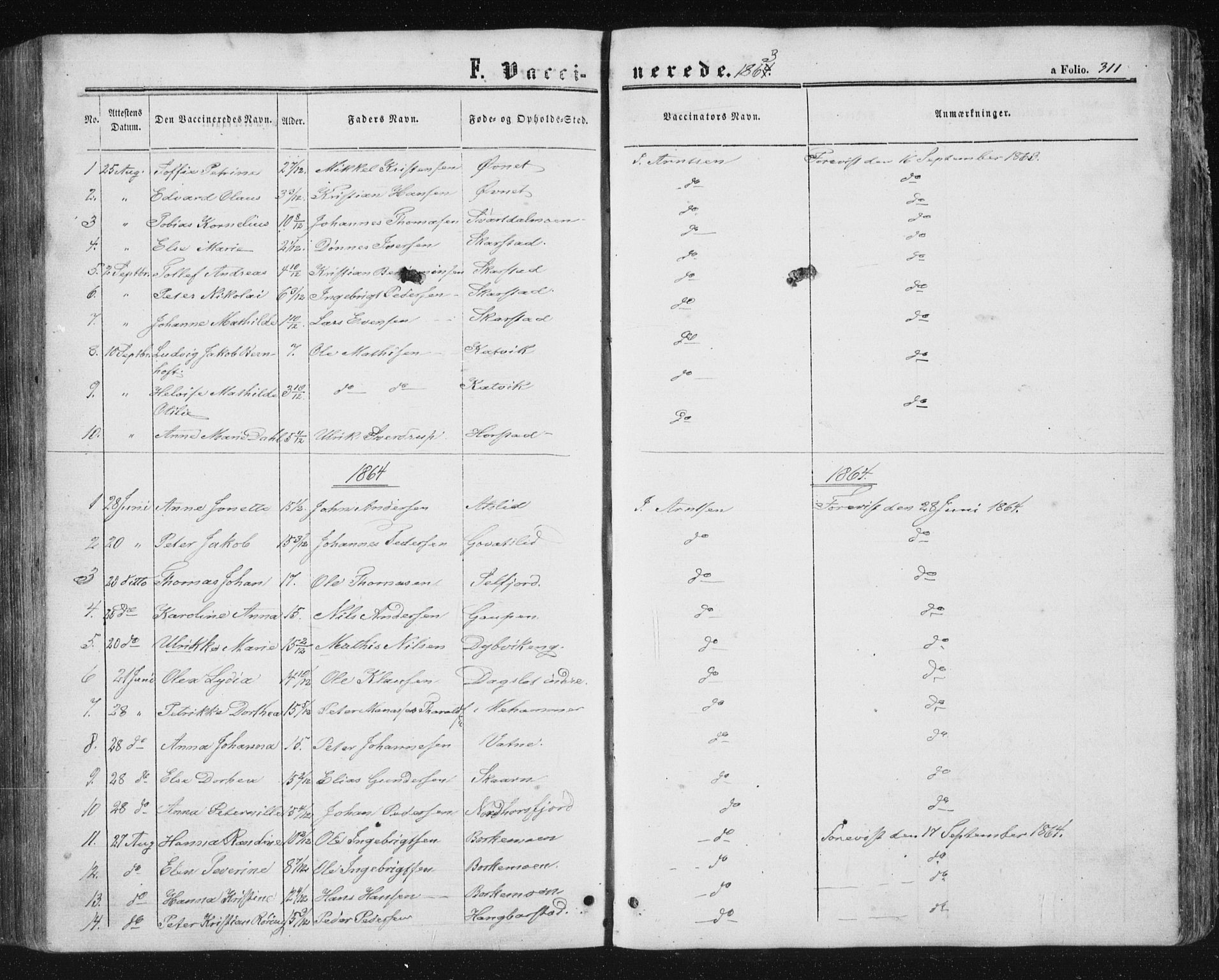 Ministerialprotokoller, klokkerbøker og fødselsregistre - Nordland, AV/SAT-A-1459/810/L0158: Parish register (copy) no. 810C02 /1, 1863-1883, p. 311