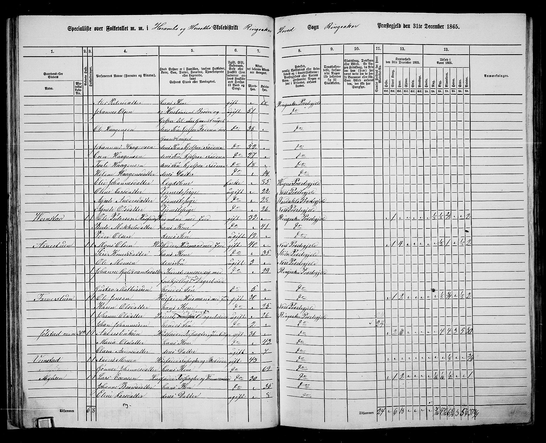 RA, 1865 census for Ringsaker, 1865, p. 58
