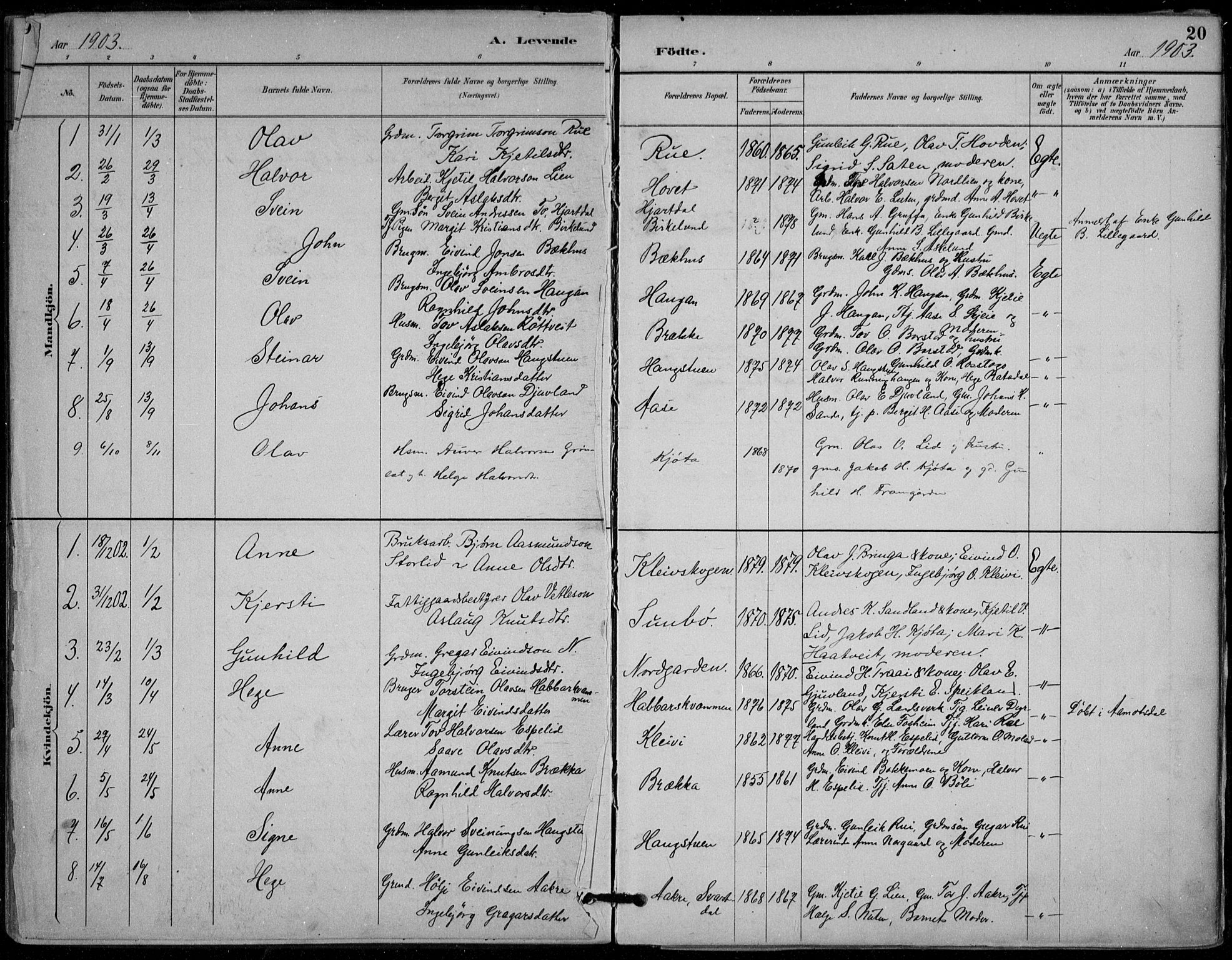 Seljord kirkebøker, AV/SAKO-A-20/F/Fb/L0002: Parish register (official) no. II 2, 1887-1917, p. 20